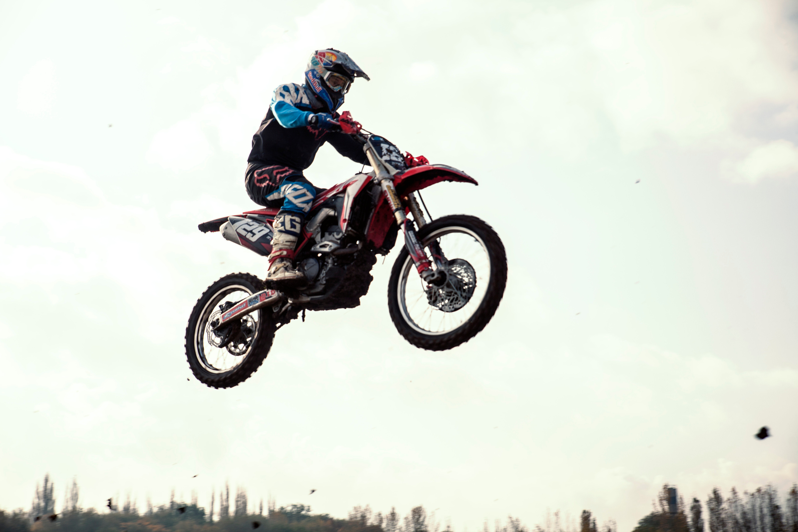 Хаскифест Тимашевск 2022. Ручка Алена — ботанический художник, дизайнер, фотограф