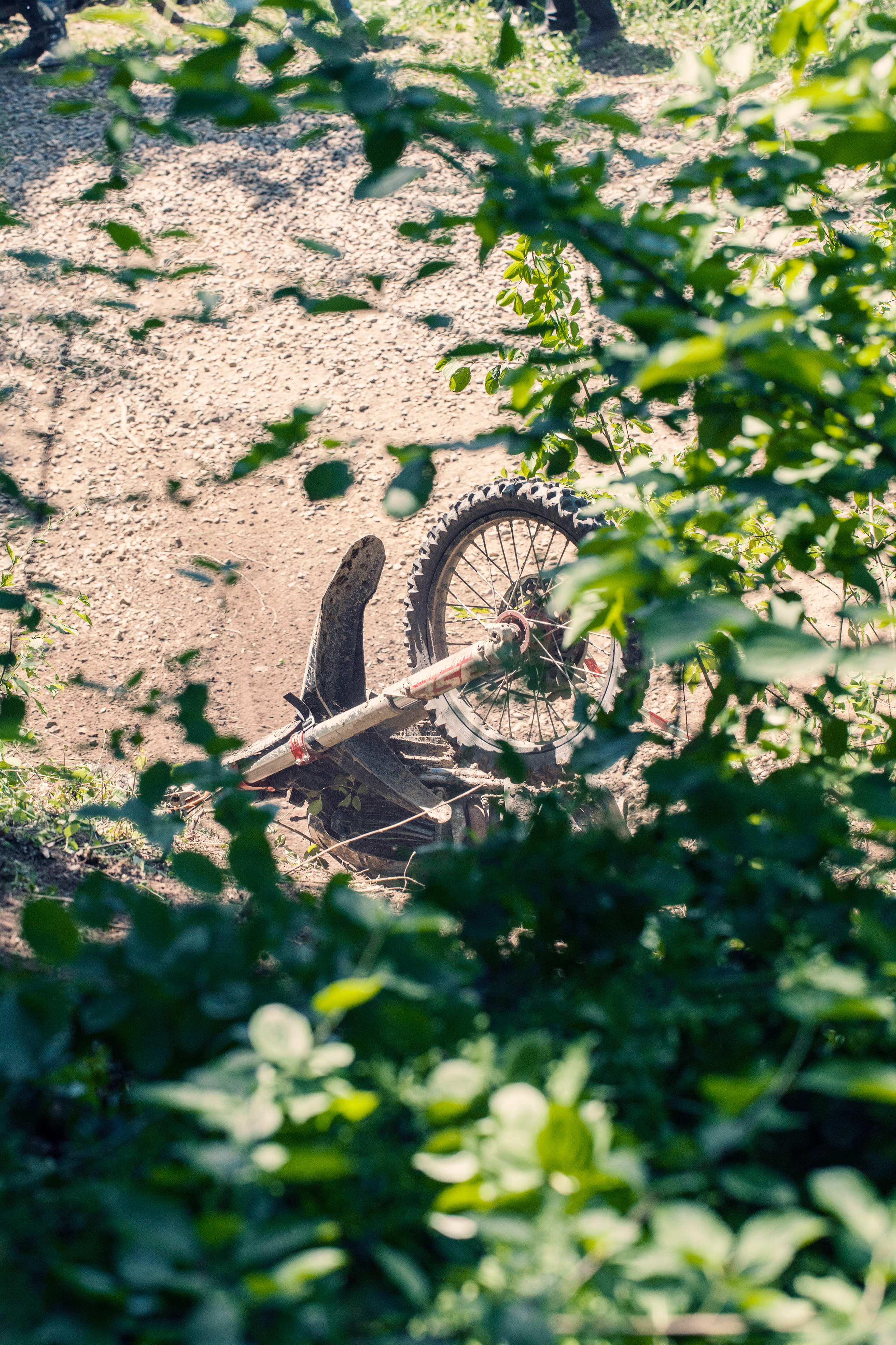 Хаски Фест май 2022. Ручка Алена — ботанический художник, дизайнер, фотограф