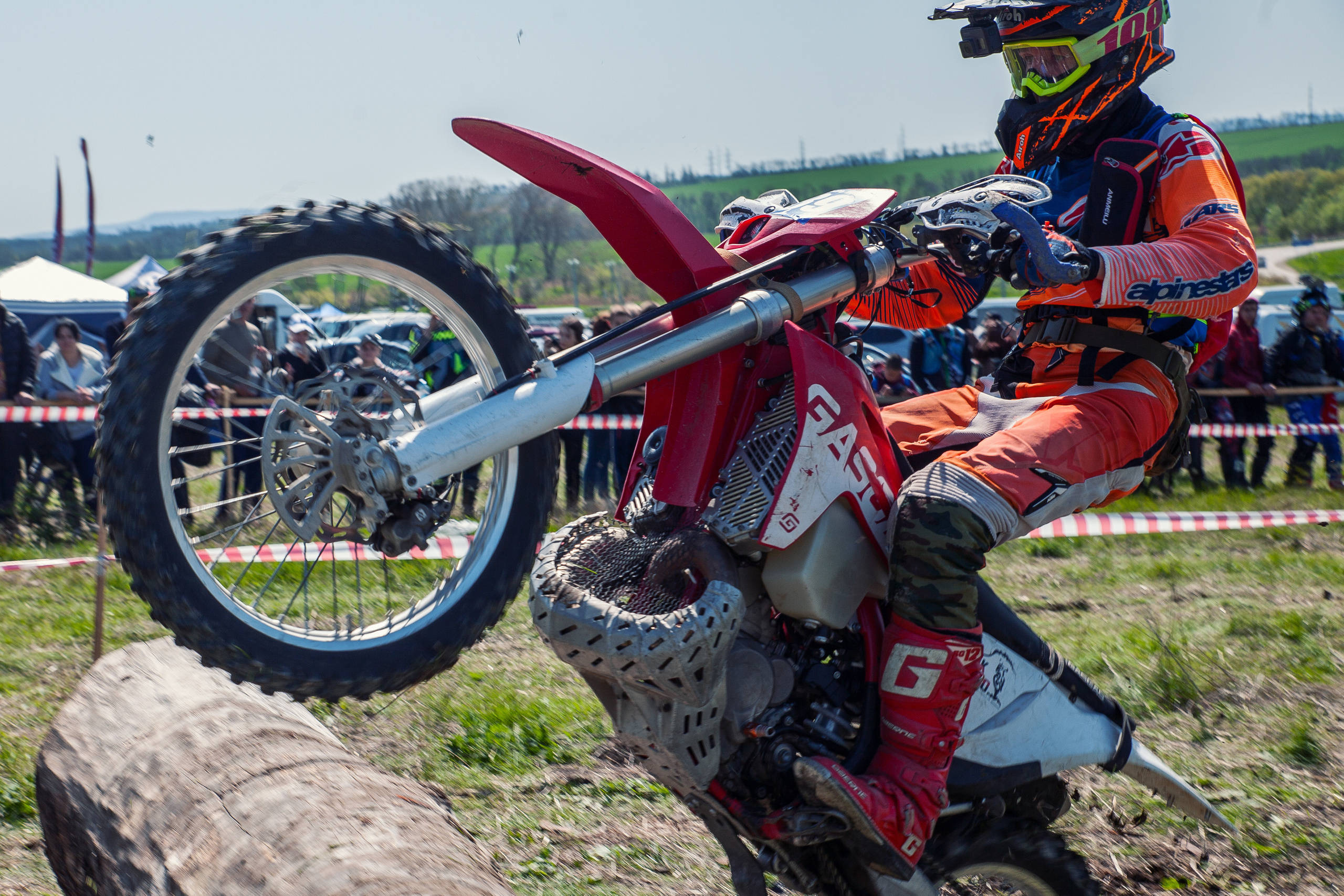 Куматырь 2023. Ручка Алена — ботанический художник, дизайнер, фотограф