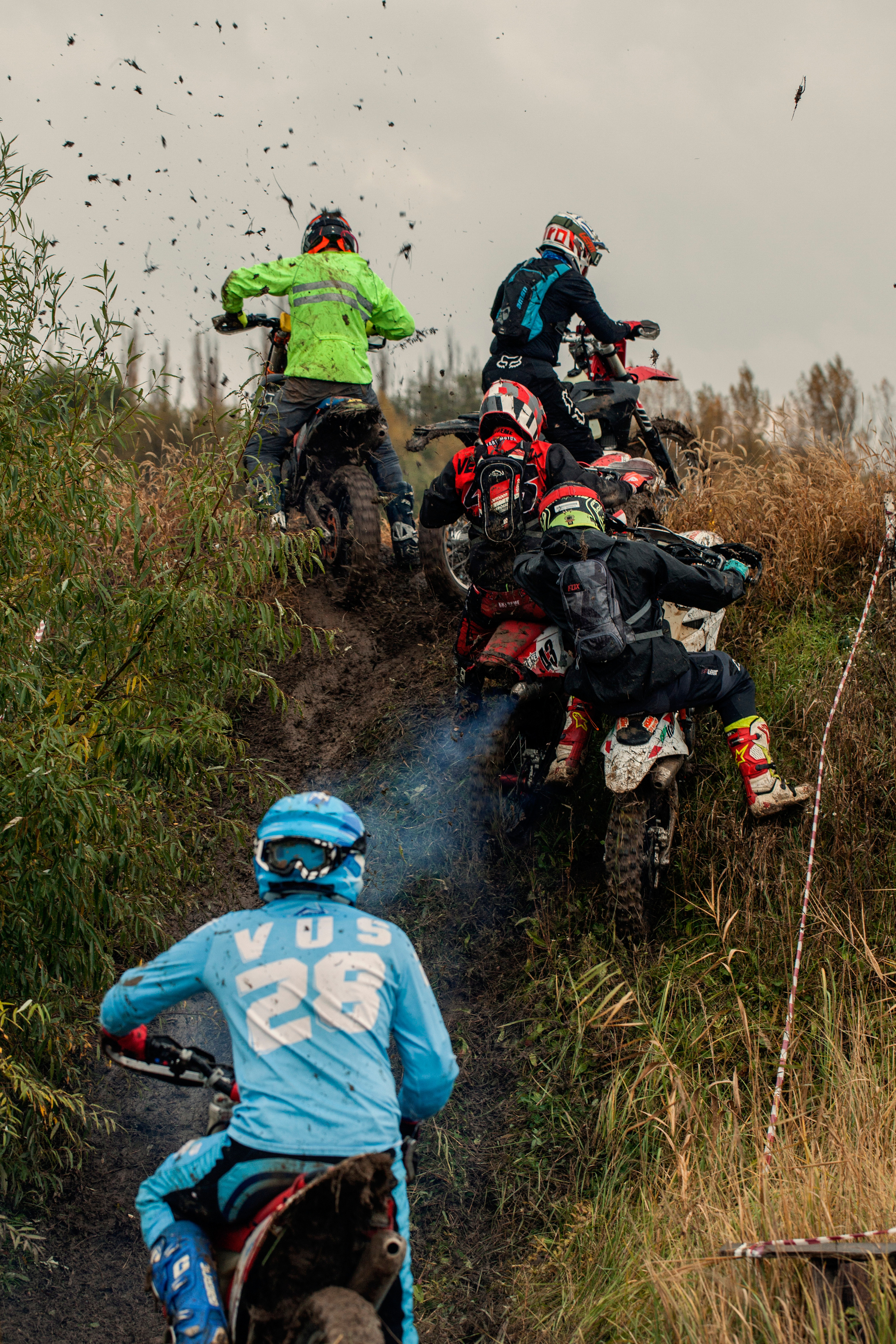 Хаскифест Тимашевск 2022. Ручка Алена — ботанический художник, дизайнер, фотограф