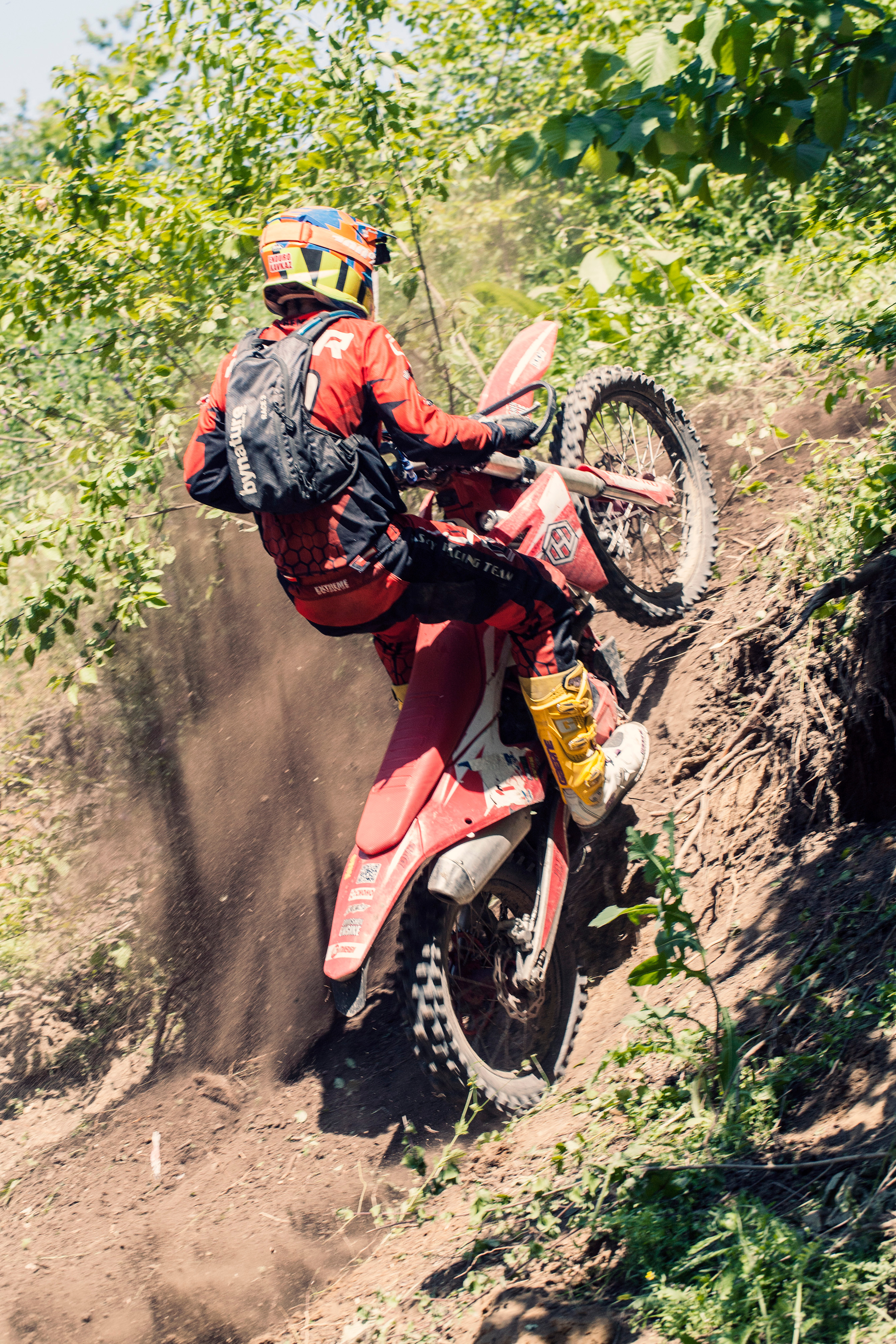 Хаски Фест май 2022. Ручка Алена — ботанический художник, дизайнер, фотограф