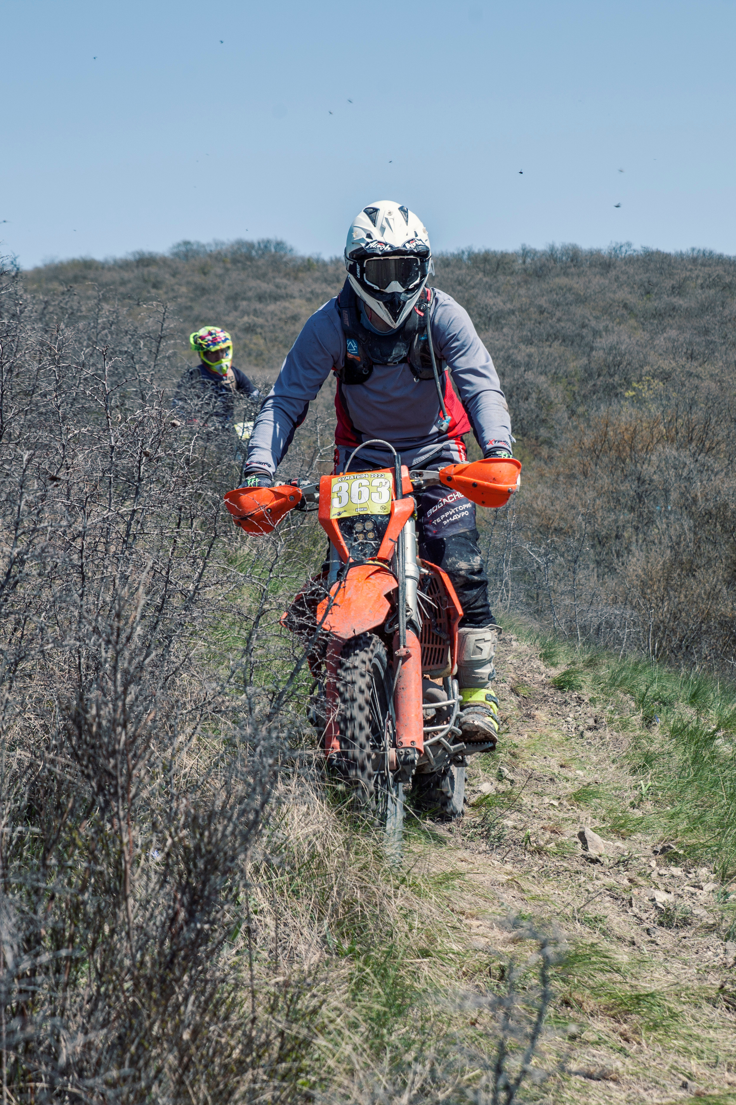 Куматырь 2023. Ручка Алена — ботанический художник, дизайнер, фотограф