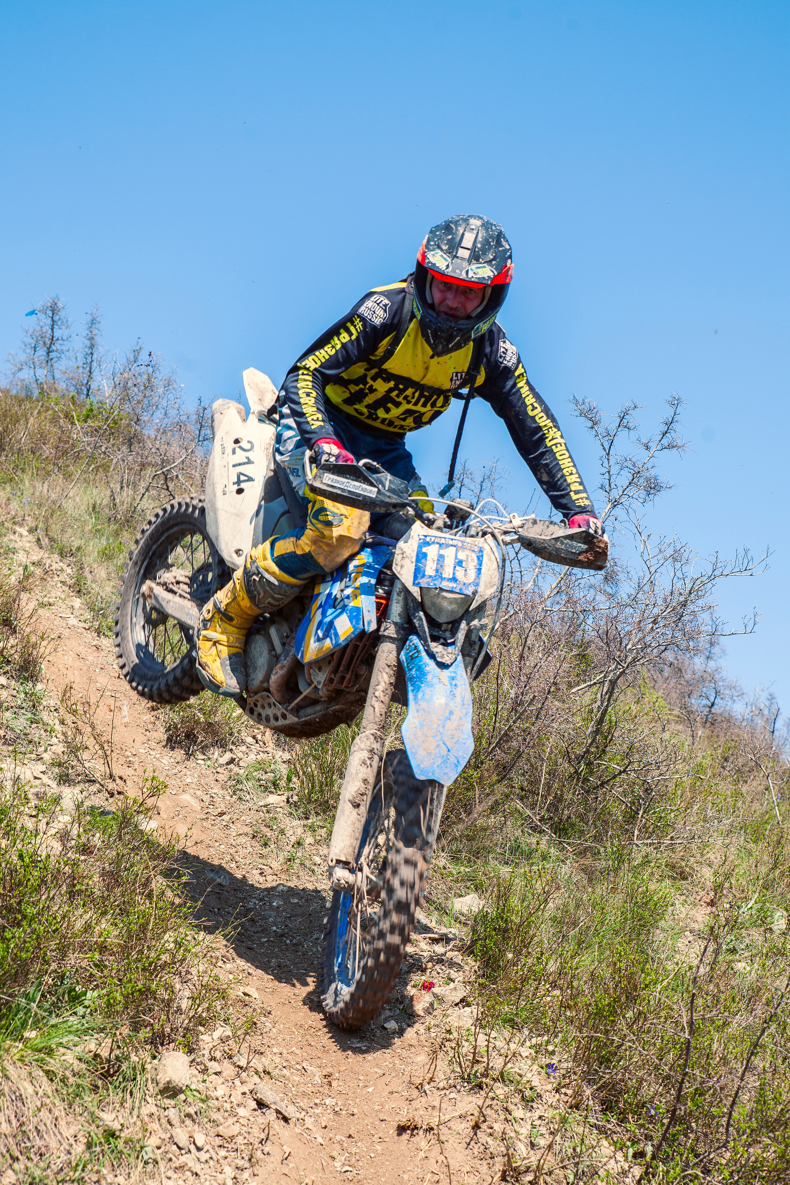 Куматырь 2023. Ручка Алена — ботанический художник, дизайнер, фотограф