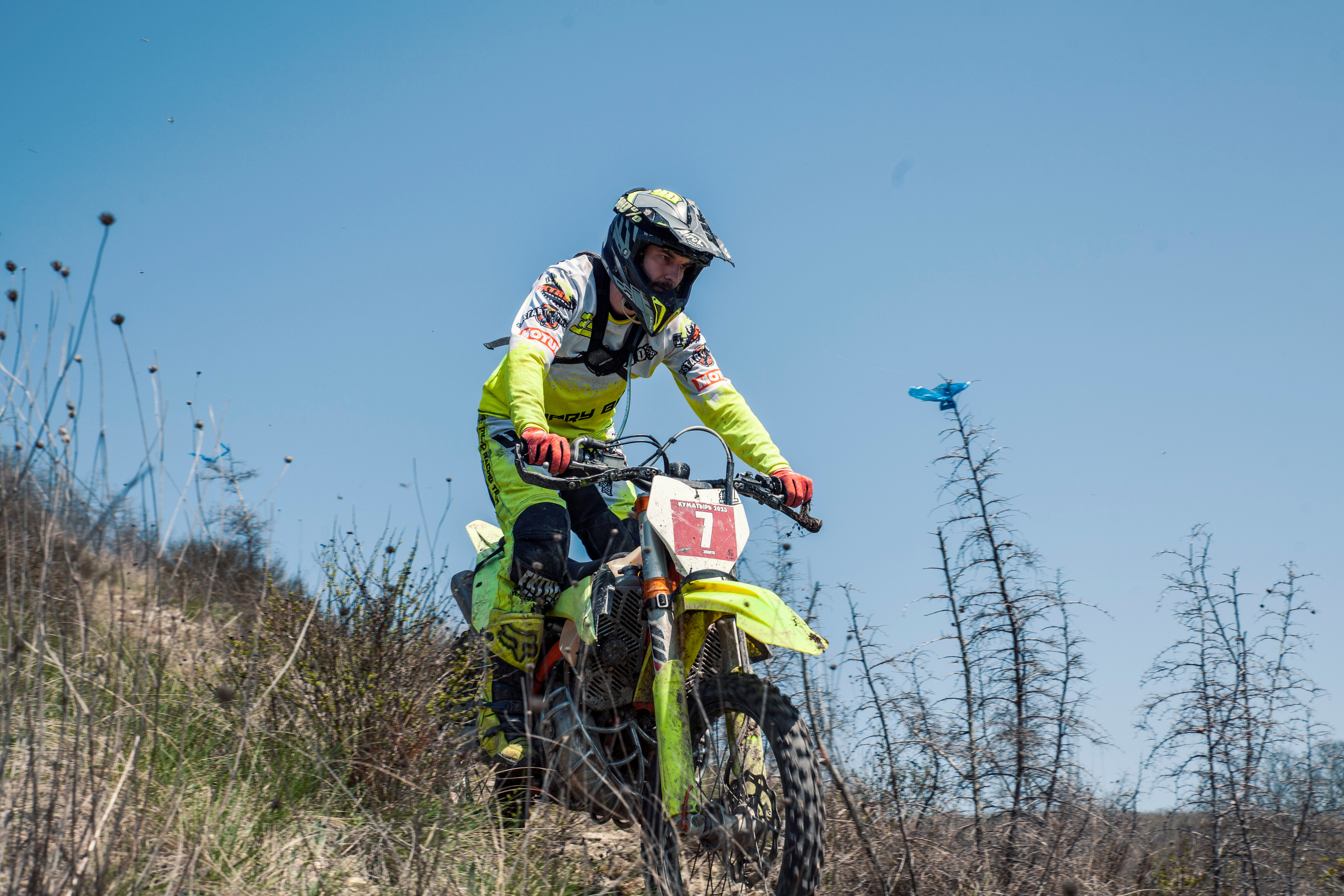 Куматырь 2023. Ручка Алена — ботанический художник, дизайнер, фотограф