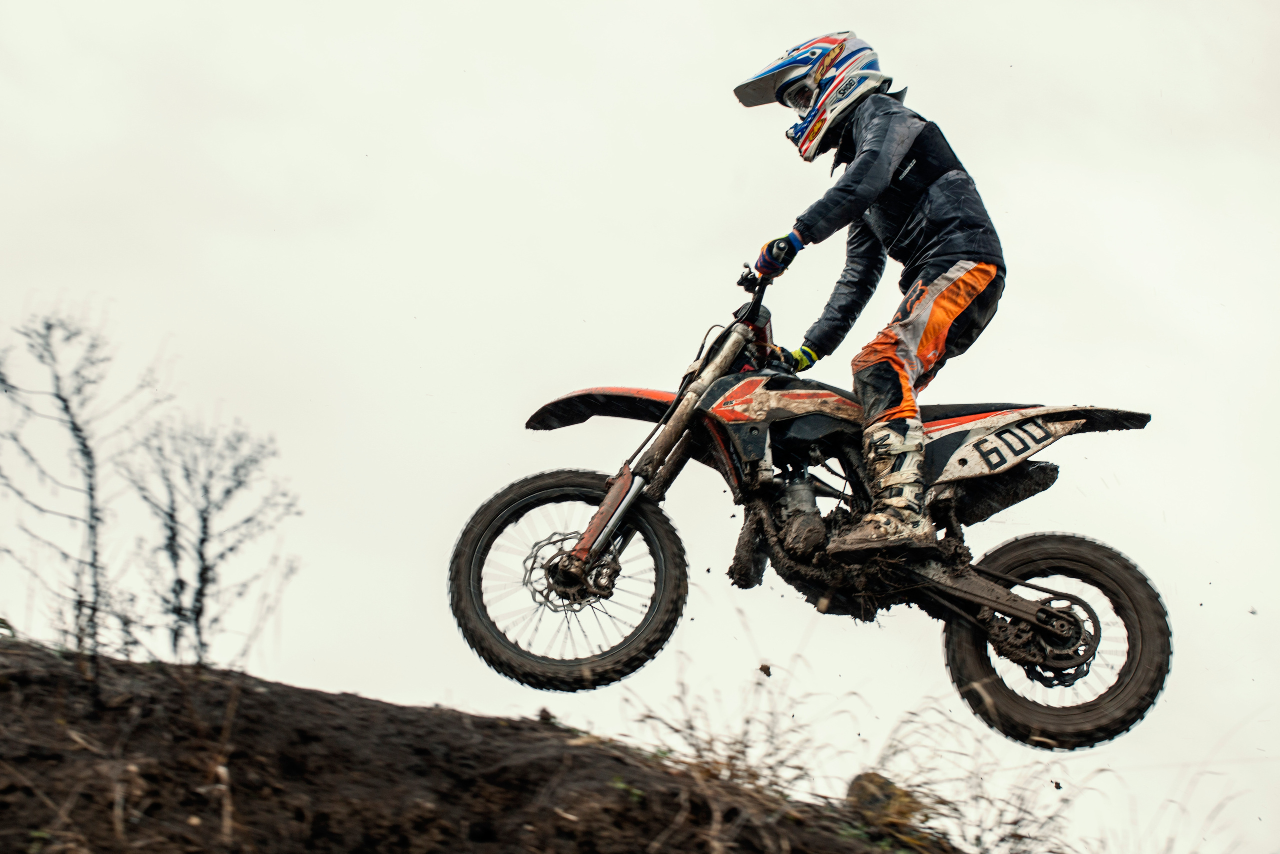 Хаскифест Тимашевск 2022. Ручка Алена — ботанический художник, дизайнер, фотограф