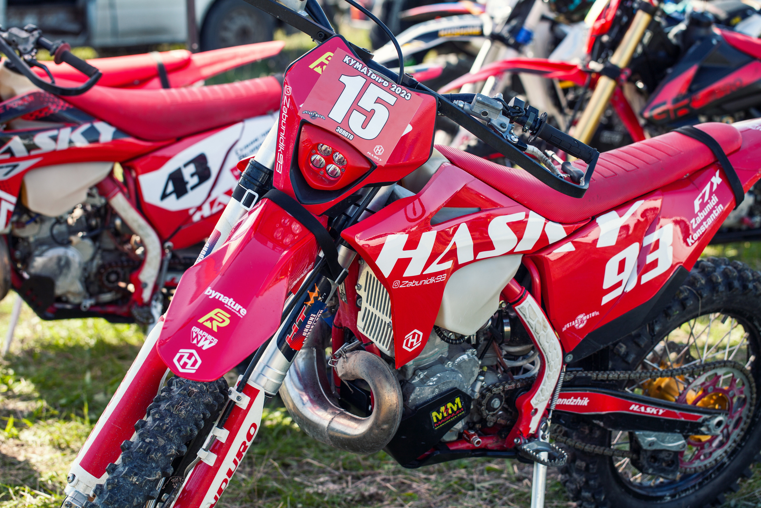 Куматырь 2023. Ручка Алена — ботанический художник, дизайнер, фотограф