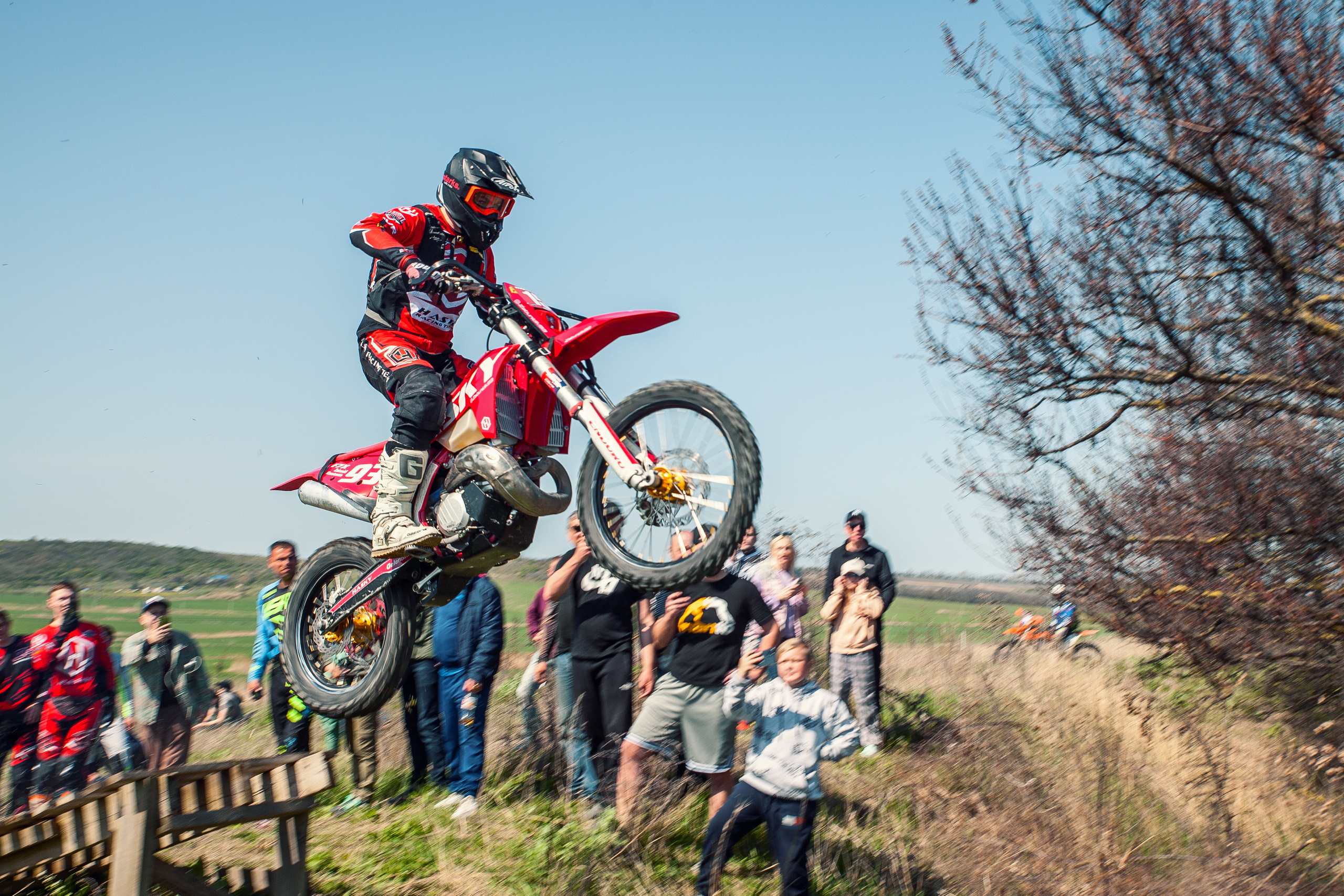 Куматырь 2023. Ручка Алена — ботанический художник, дизайнер, фотограф