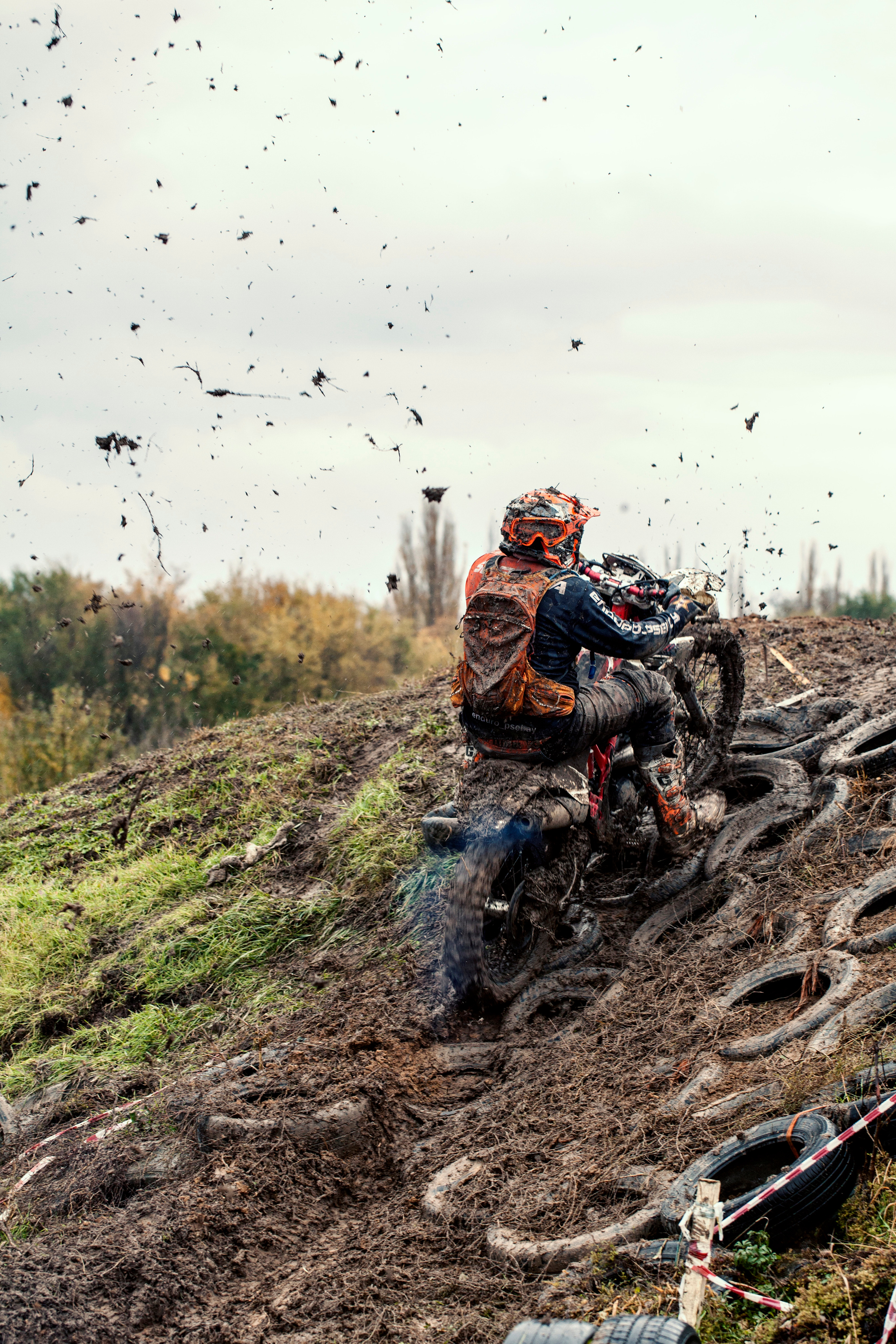 Хаскифест Тимашевск 2022. Ручка Алена — ботанический художник, дизайнер, фотограф