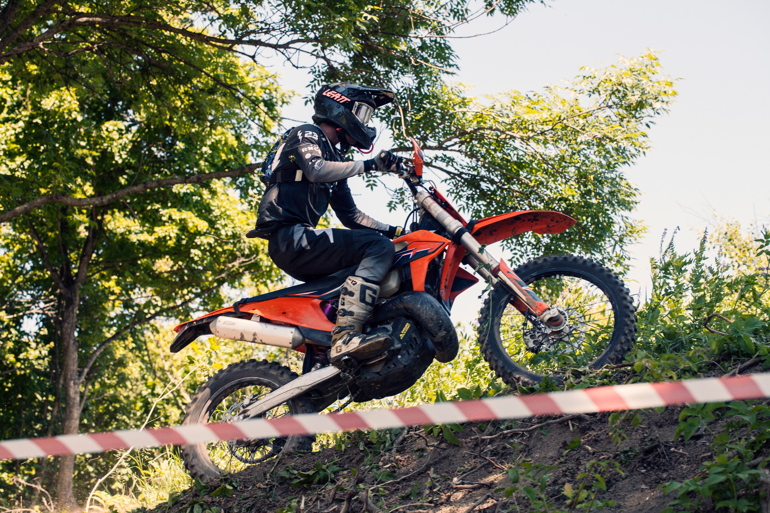 Хаски Фест май 2022. Ручка Алена — ботанический художник, дизайнер, фотограф