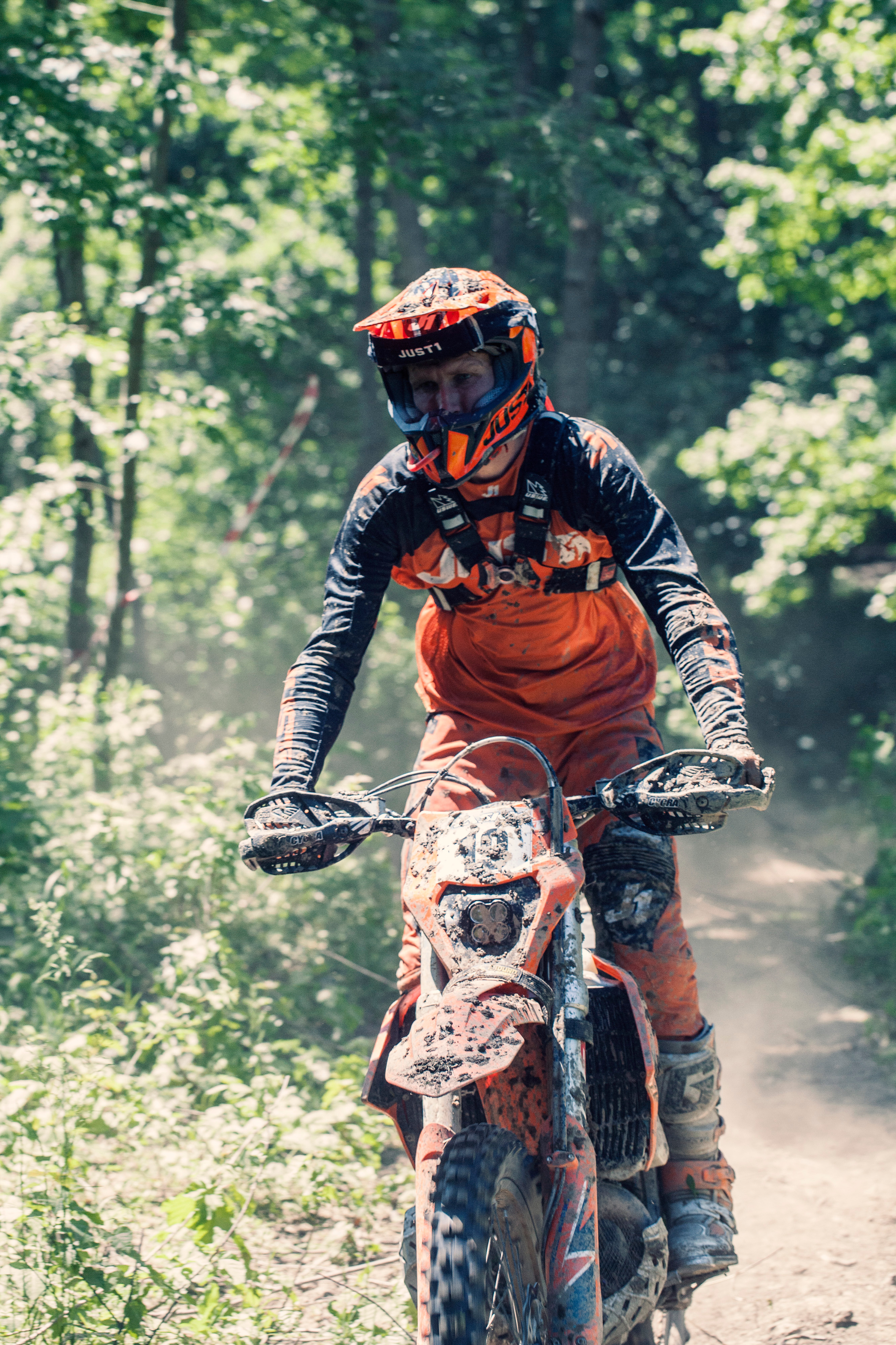 Хаски Фест май 2022. Ручка Алена — ботанический художник, дизайнер, фотограф