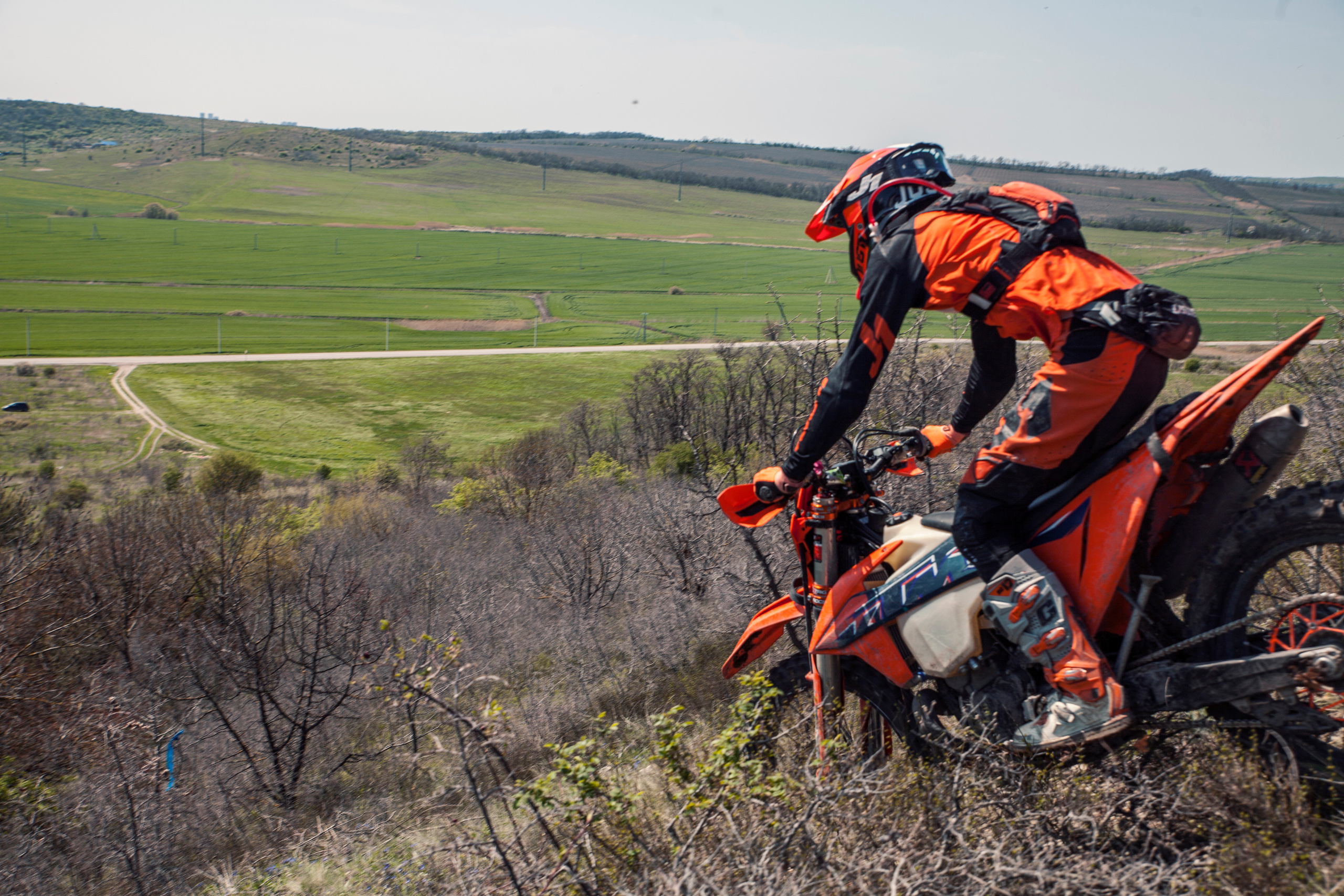 Куматырь 2023. Ручка Алена — ботанический художник, дизайнер, фотограф
