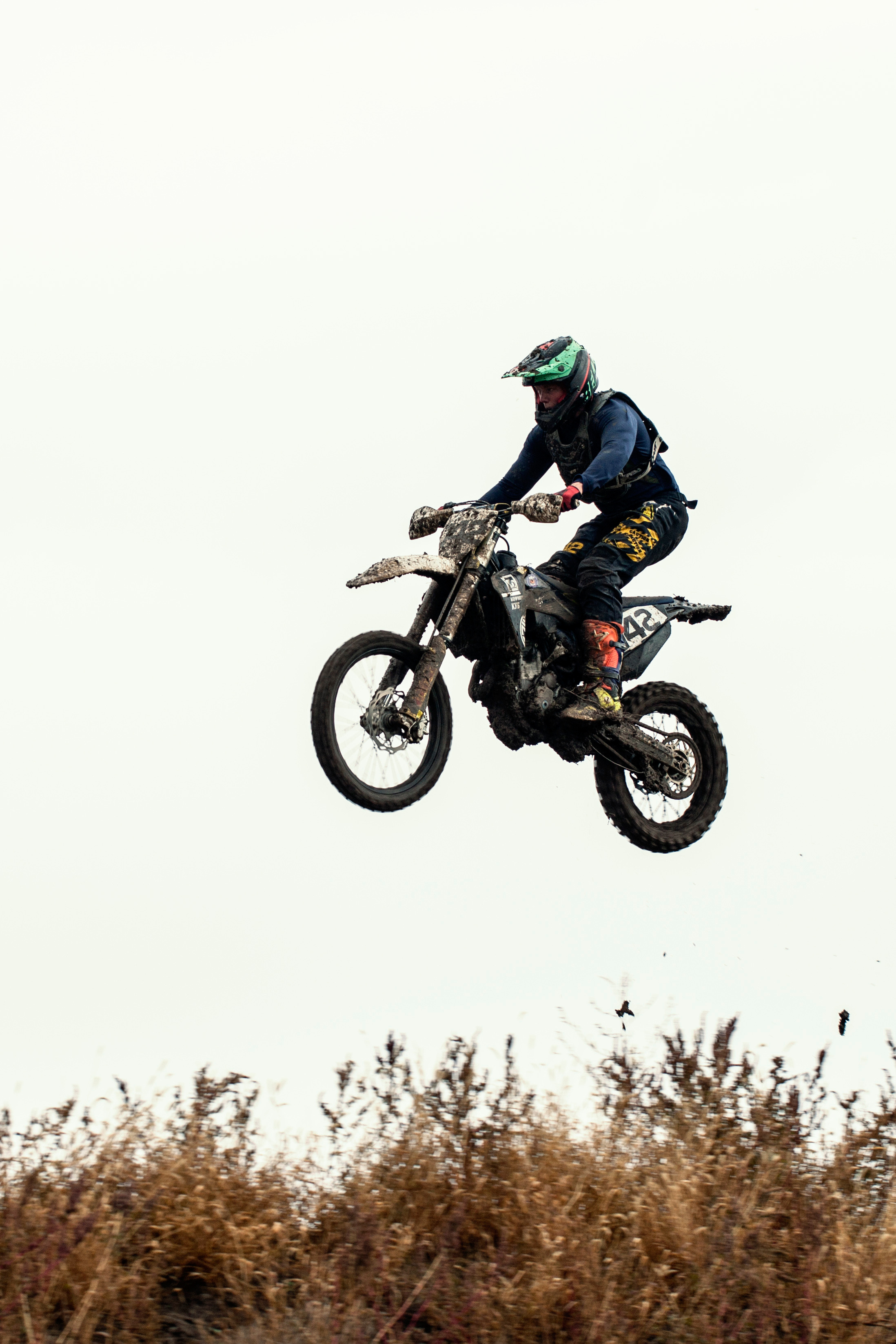 Хаскифест Тимашевск 2022. Ручка Алена — ботанический художник, дизайнер, фотограф