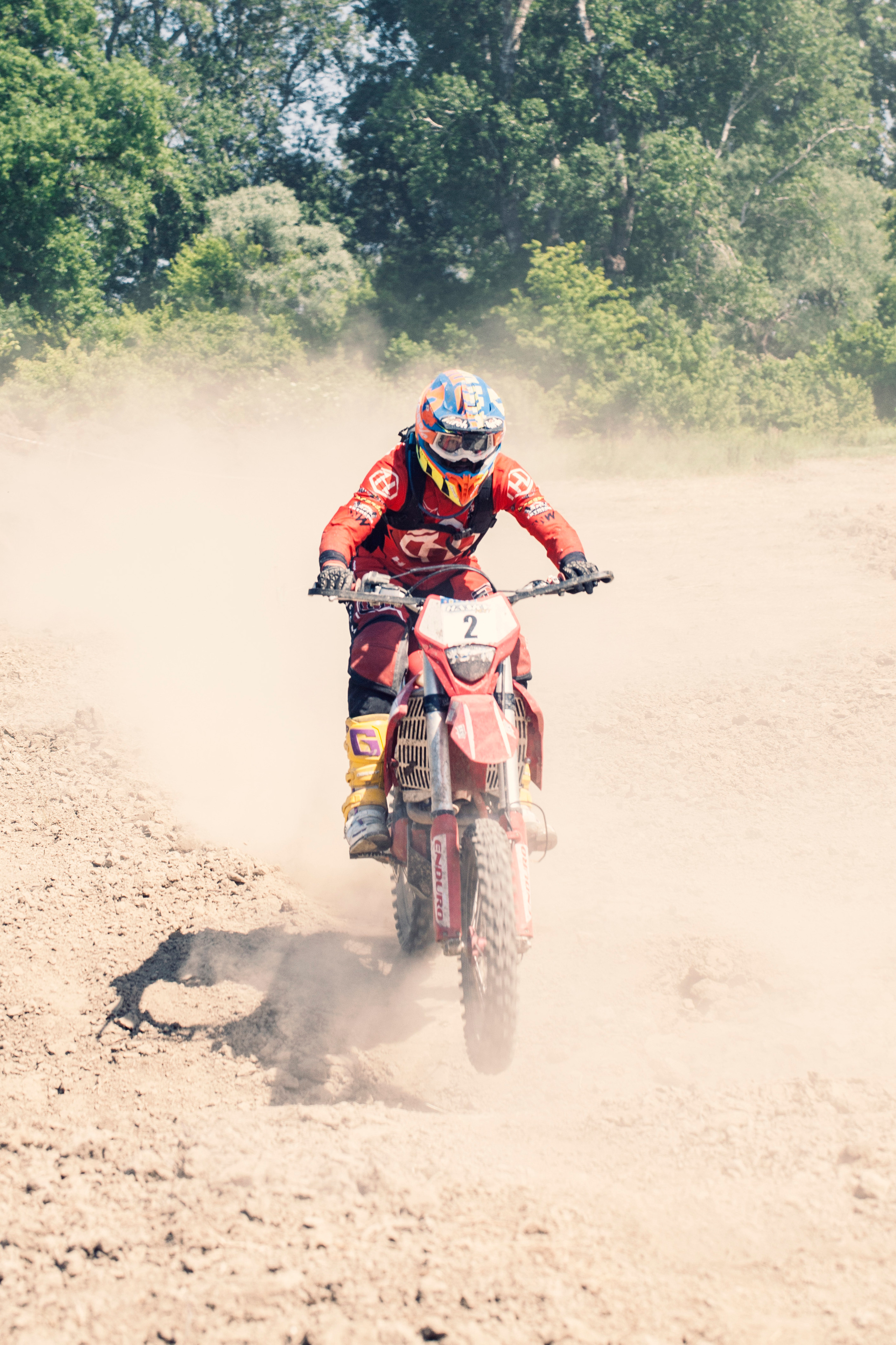 Хаски Фест май 2022. Ручка Алена — ботанический художник, дизайнер, фотограф