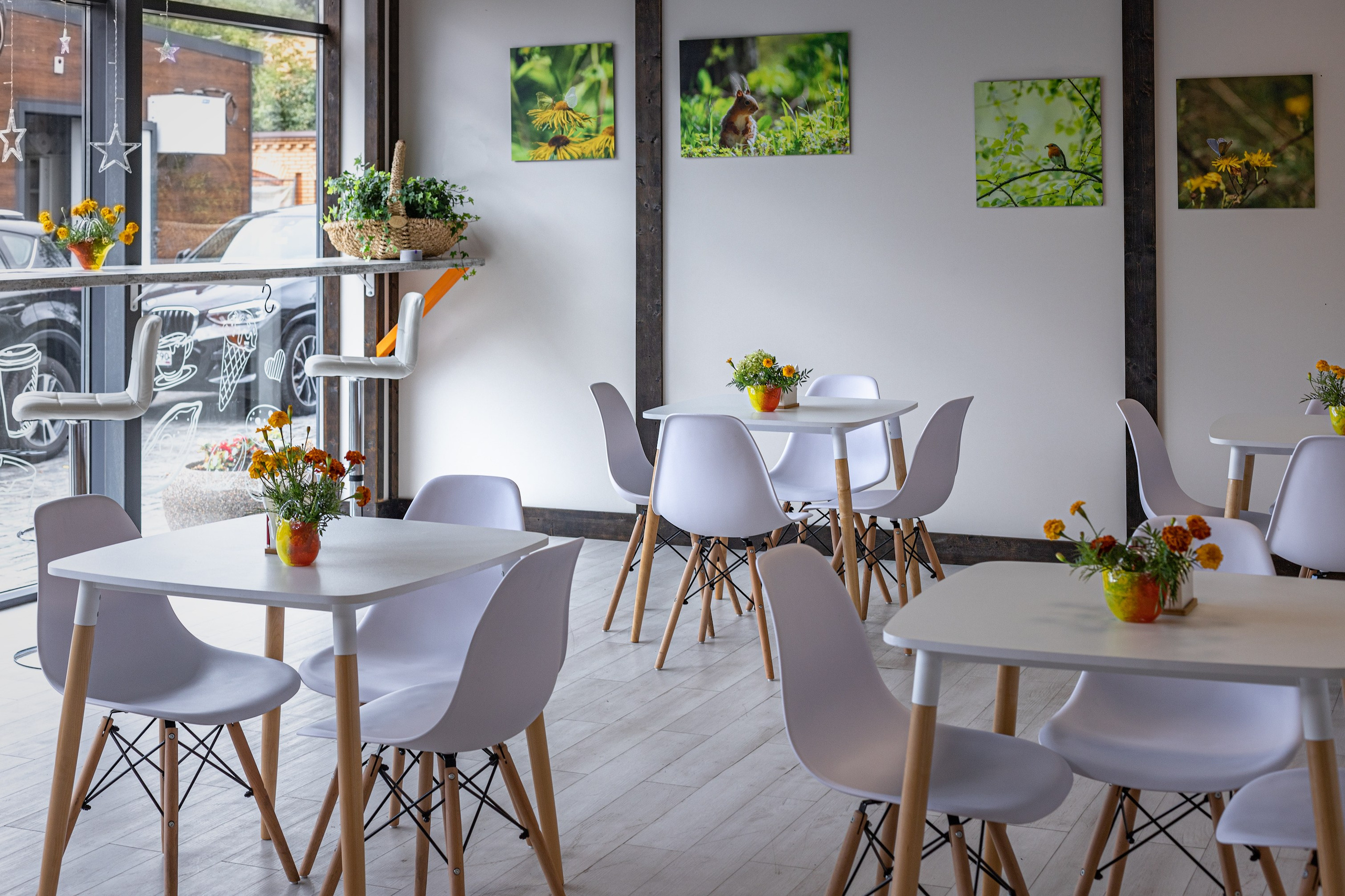 Достижения. Константин Дем | Фотограф