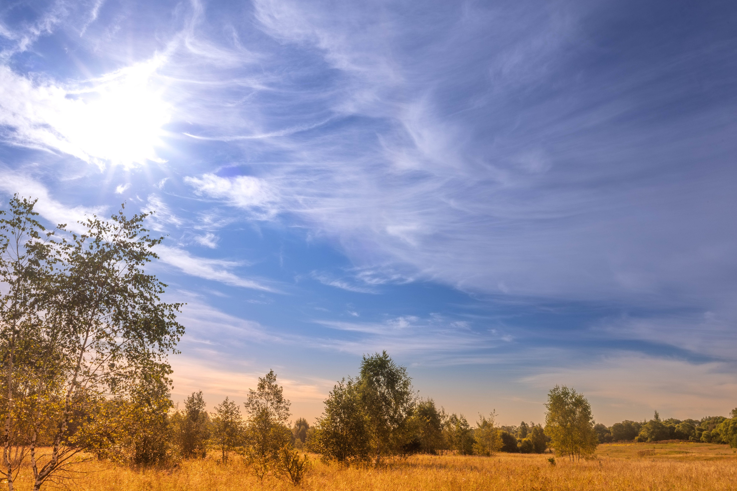 ПЛАНЕТА ЗЕМЛЯ (пейзаж). АЛЕКСЕЙ КОЛМАКОВ. Фотограф. Москва и Московская область