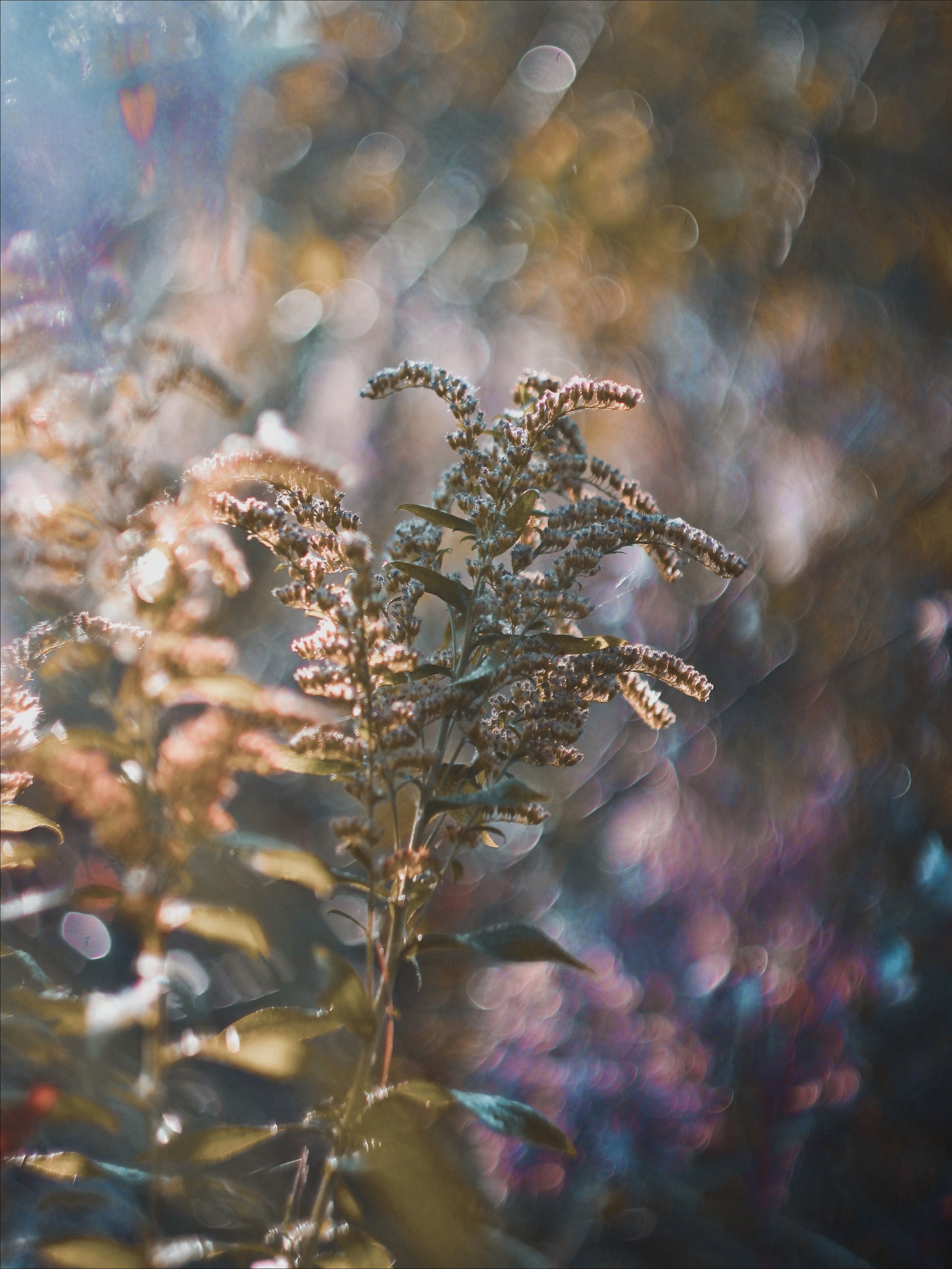 Эфемерность моментов. С любовью, фотохудожник