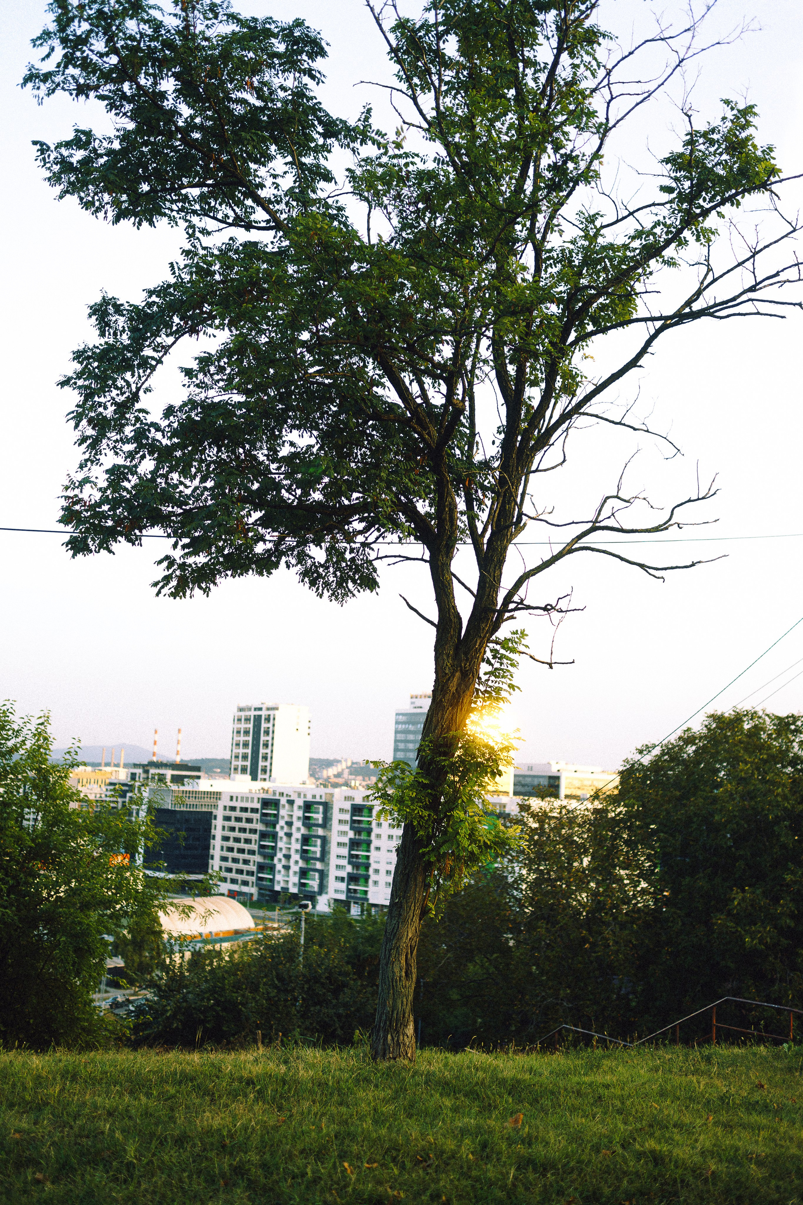 Urban and Street. Oleg Kozachok — Photographer with Protanopia | Portraits, Texture & Light