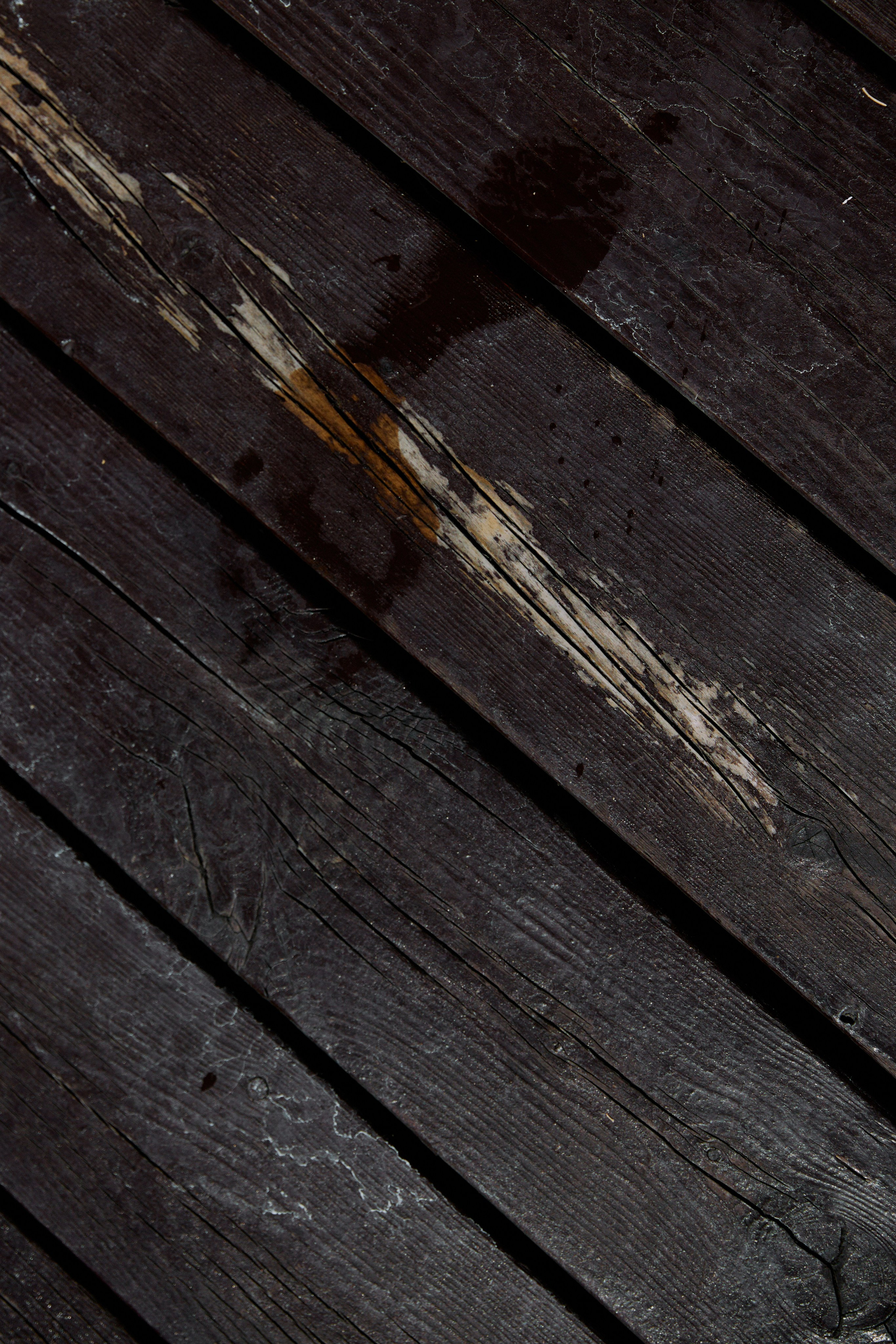 95 градусов по Фаренгейту. Фотограф Елена Краснопевцева