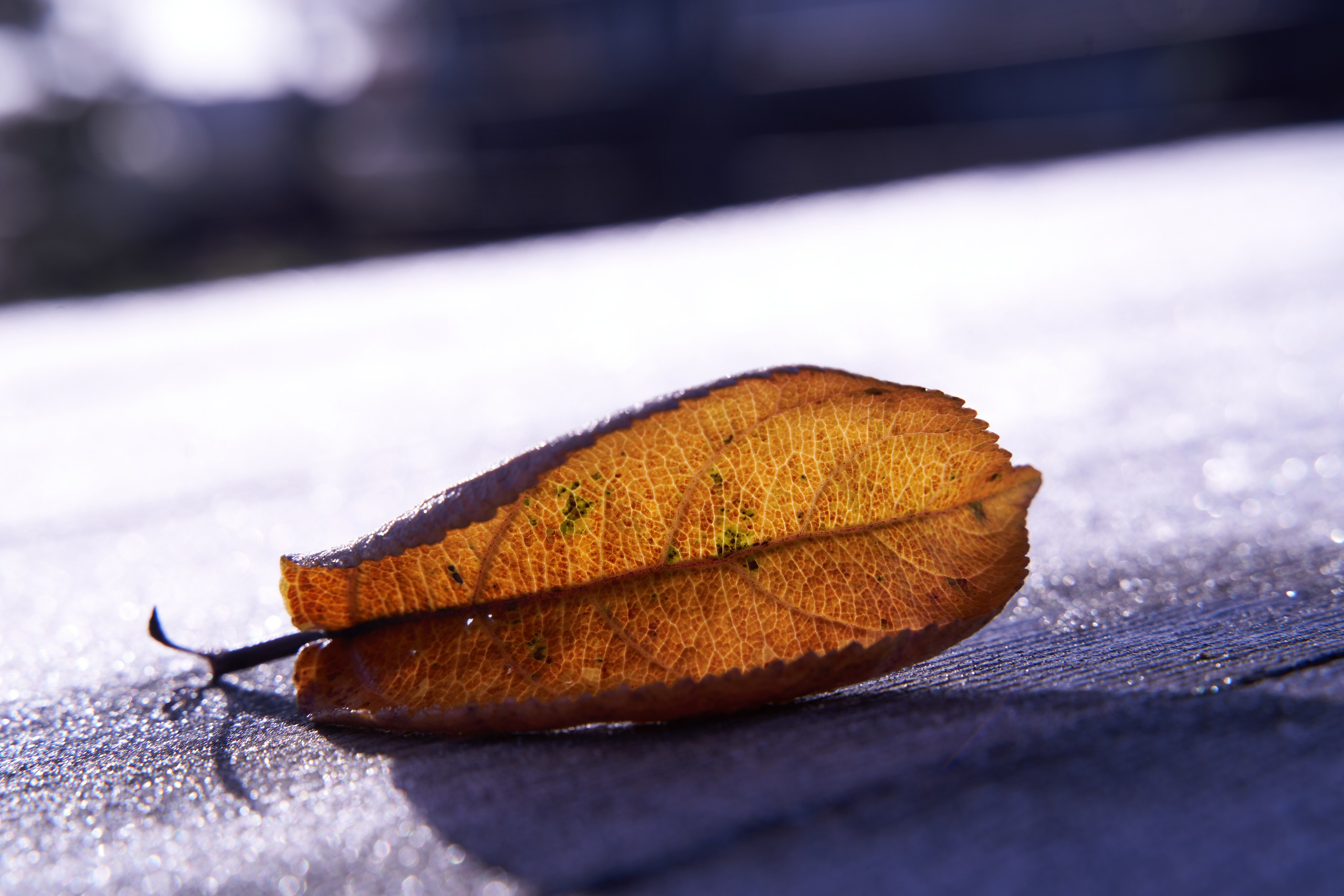 Бекстейдж съемки сериала. Krasnopoliophoto