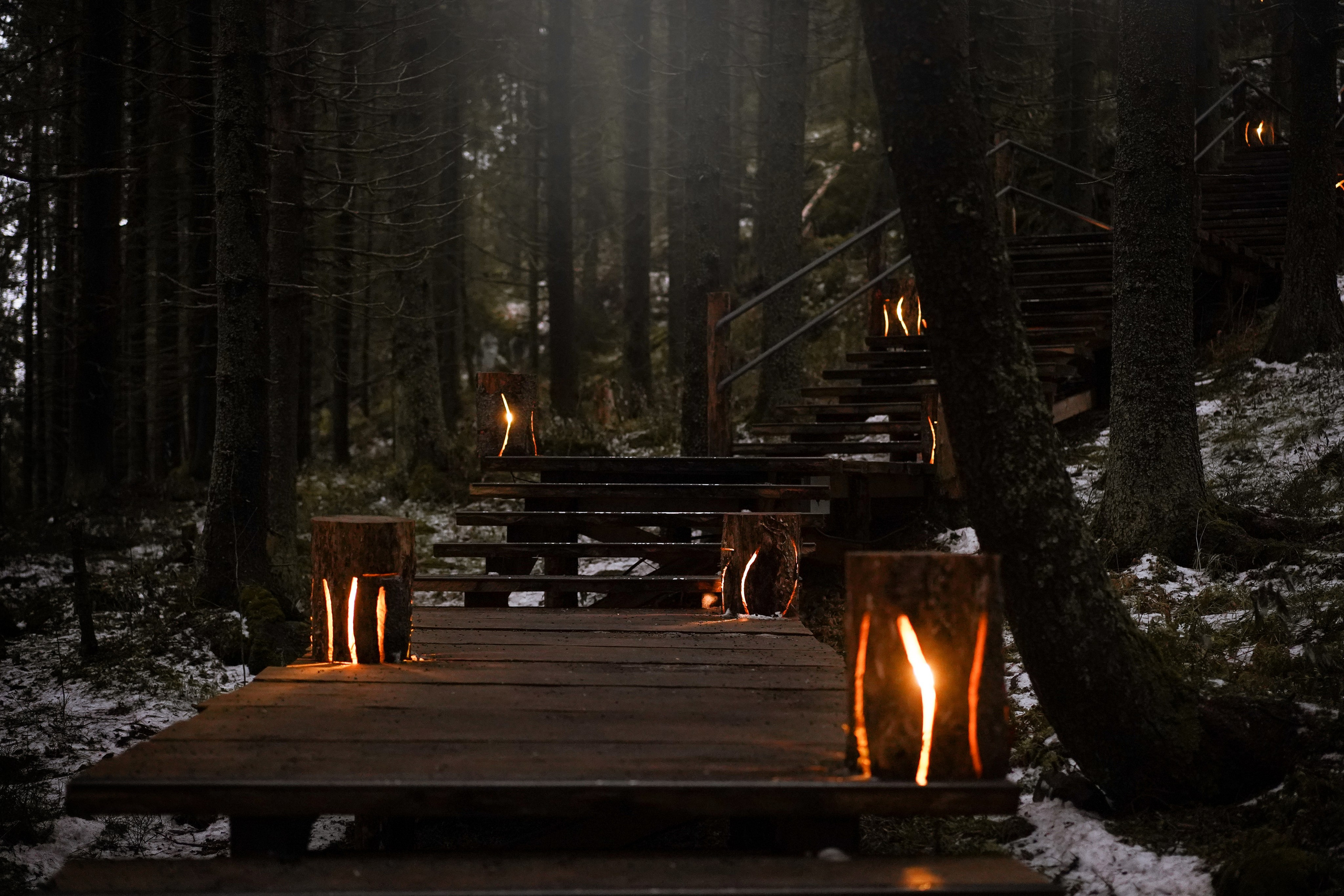 Юни на горе Паасо. Фотограф-анималист в Санкт-Петербурге Яна Мартынова