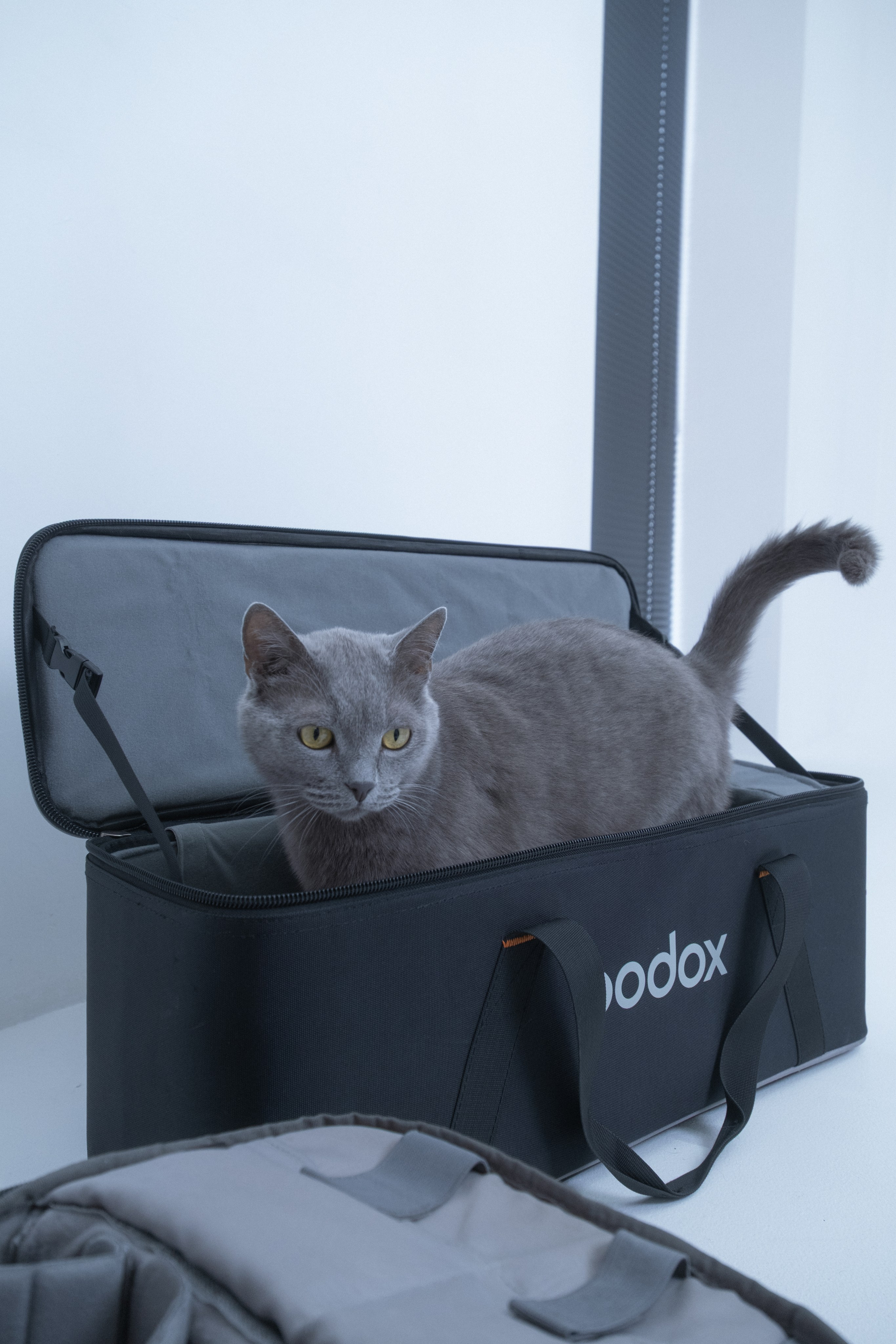 Лена. Фотограф Коробова Екатерина