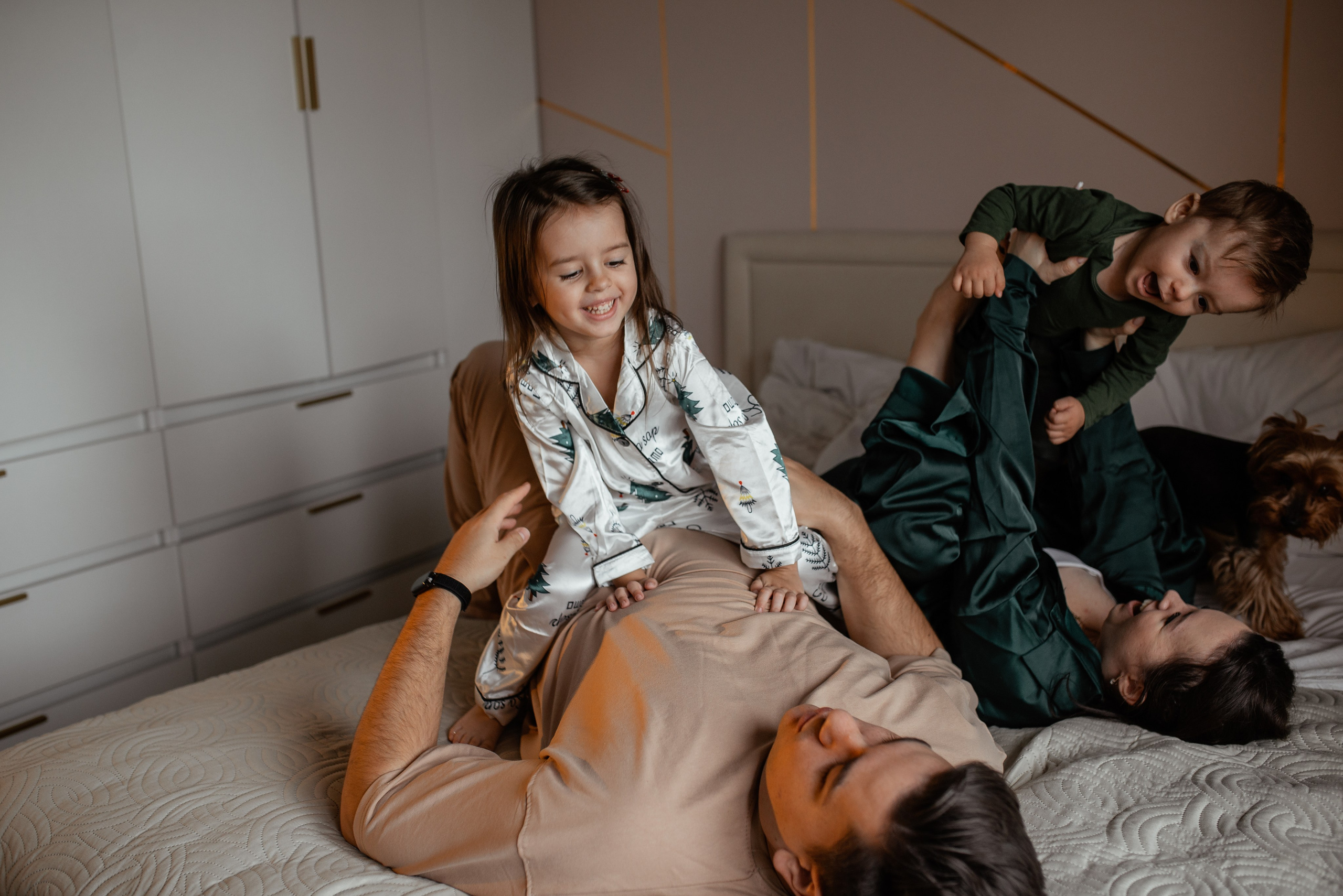 Домашняя новогодняя. Галина Чекунова Фотограф в Ростове-на-Дону