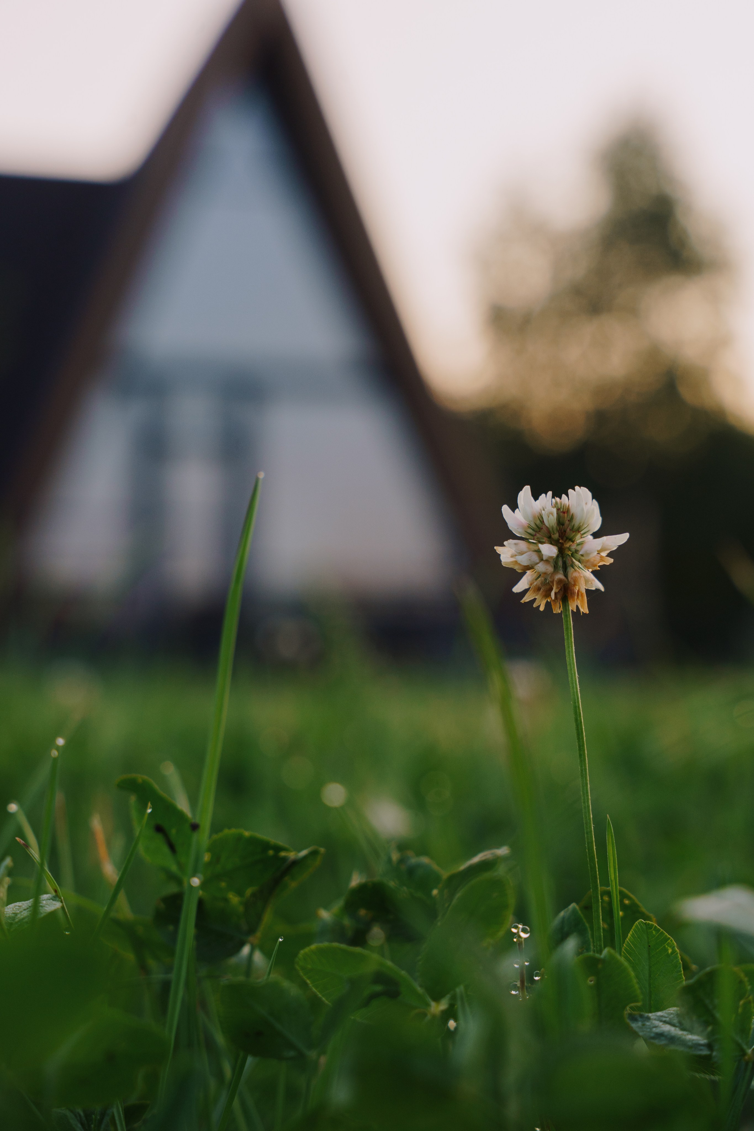 Глемпинг Трофимов берег Москва