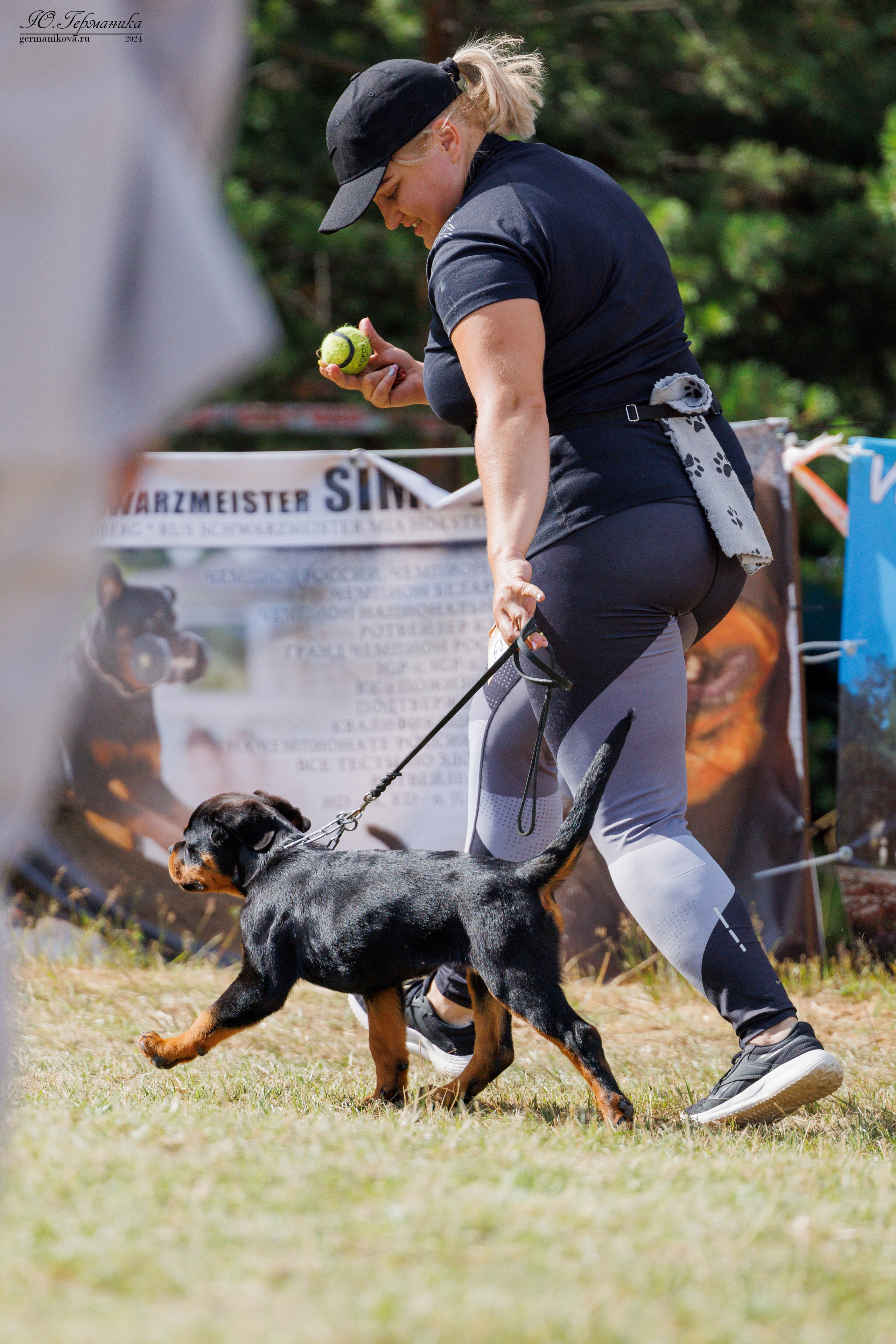 ПК и КЧК ротвейлеры Тверь 6-7.07.2024. Фотограф-анималист Юлия Германика