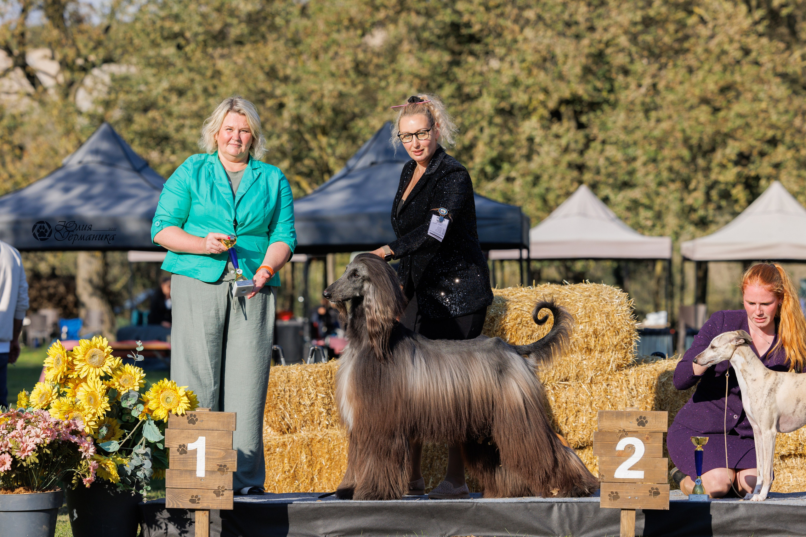 Туция,Стамбул 2хCACIB 26-27.10.24. Фотограф-анималист Юлия Германика