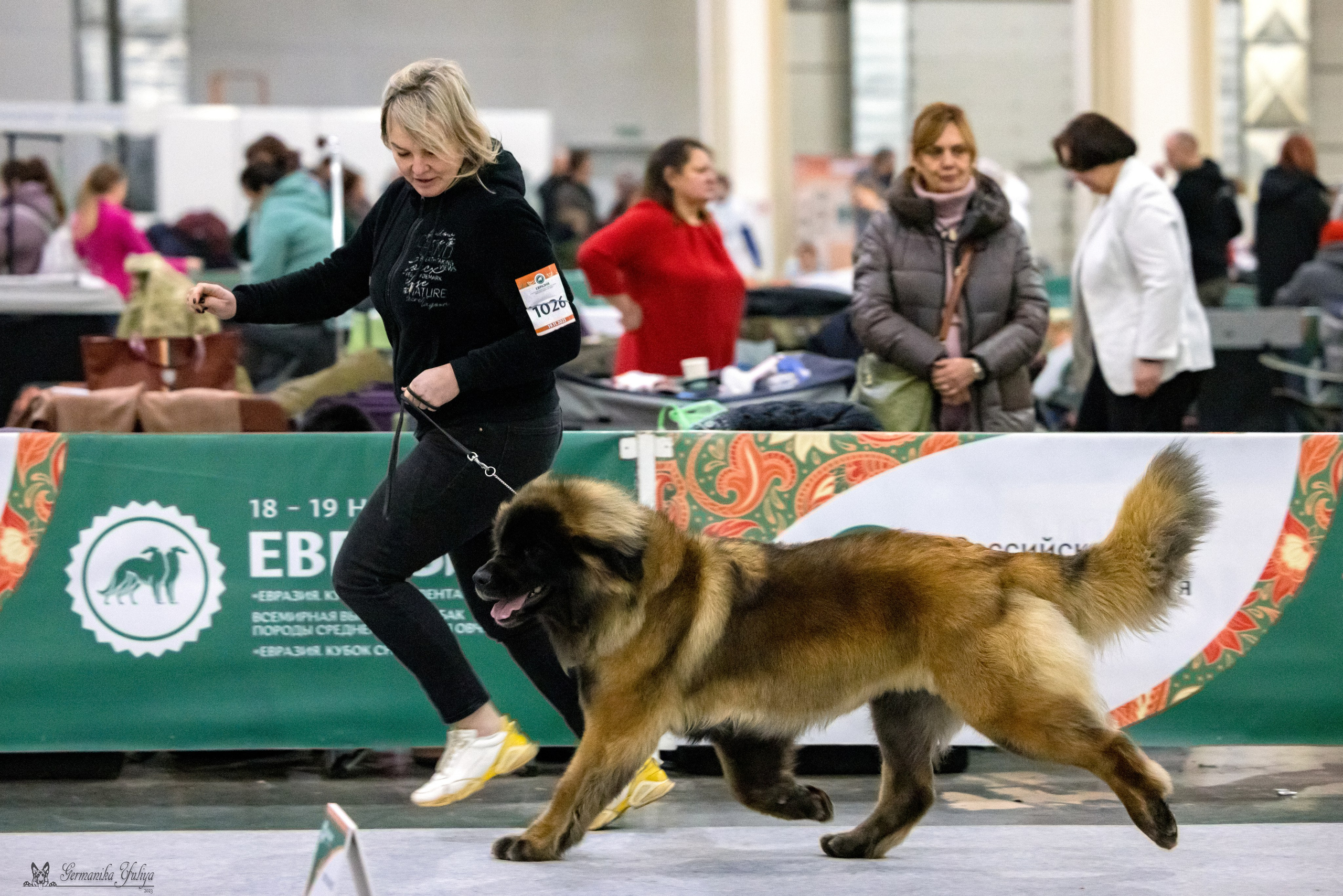 ЕВРАЗИЯ 18-19.11.2023. Фотограф-анималист Юлия Германика