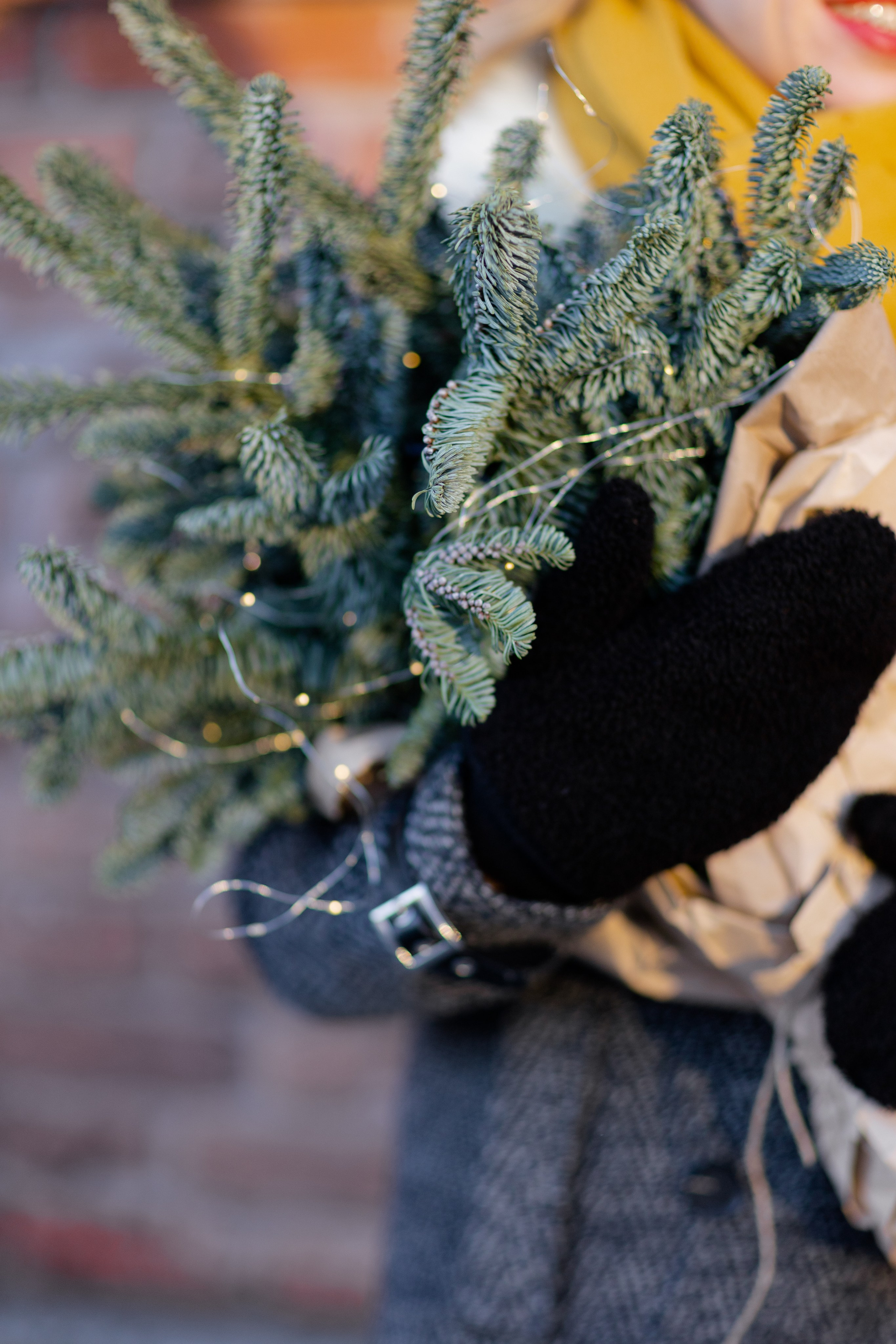 Зимние фотографии. @dariazphotodays