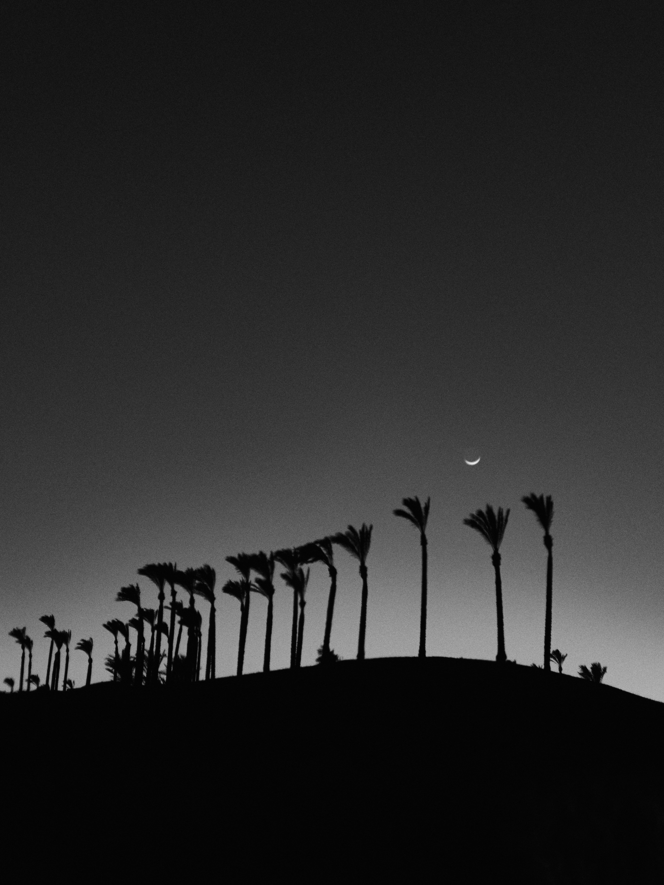 B&W. Jorgis — фотограф в Хургаде / обучение фотографии