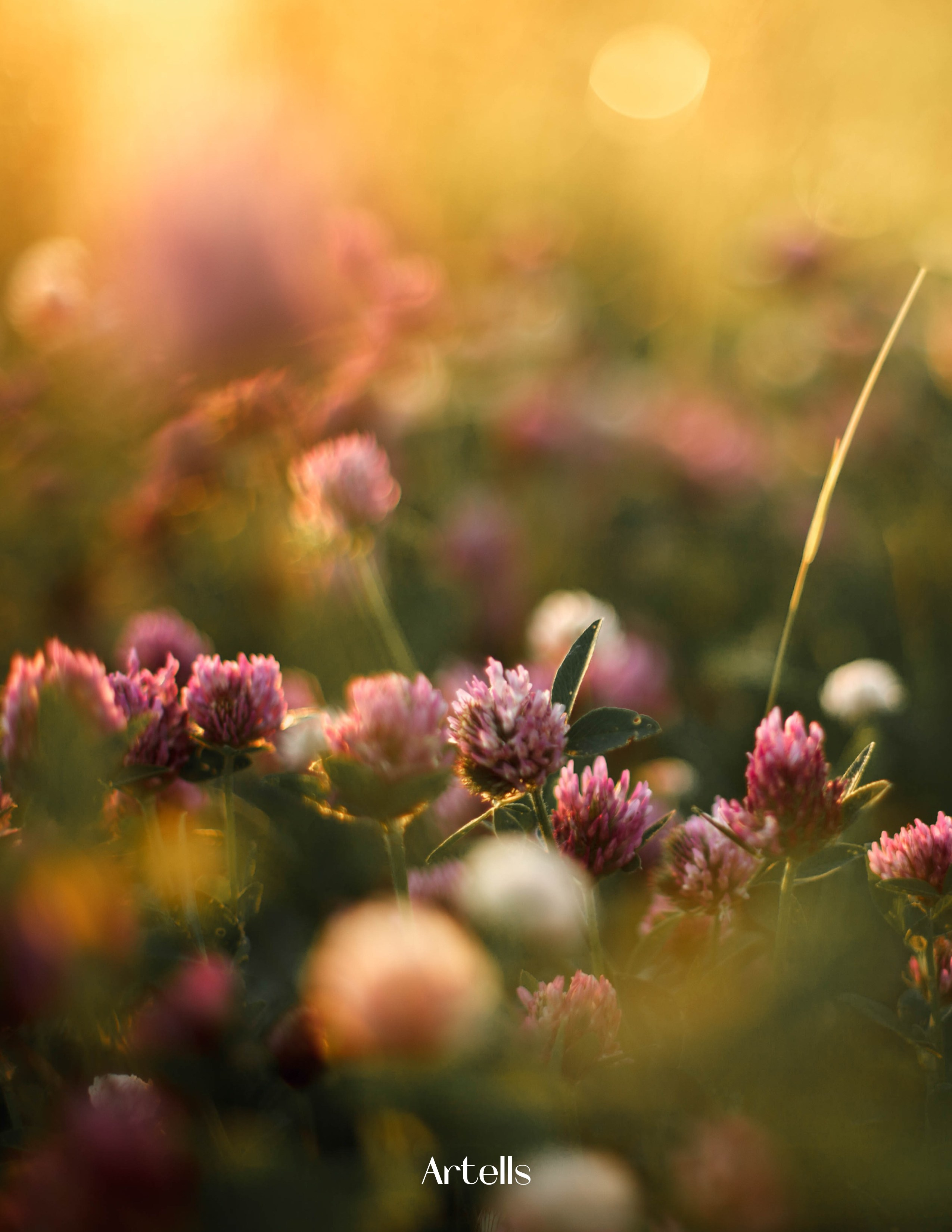 Публикации. Анастасия Воропаева — фотограф на роды СПб