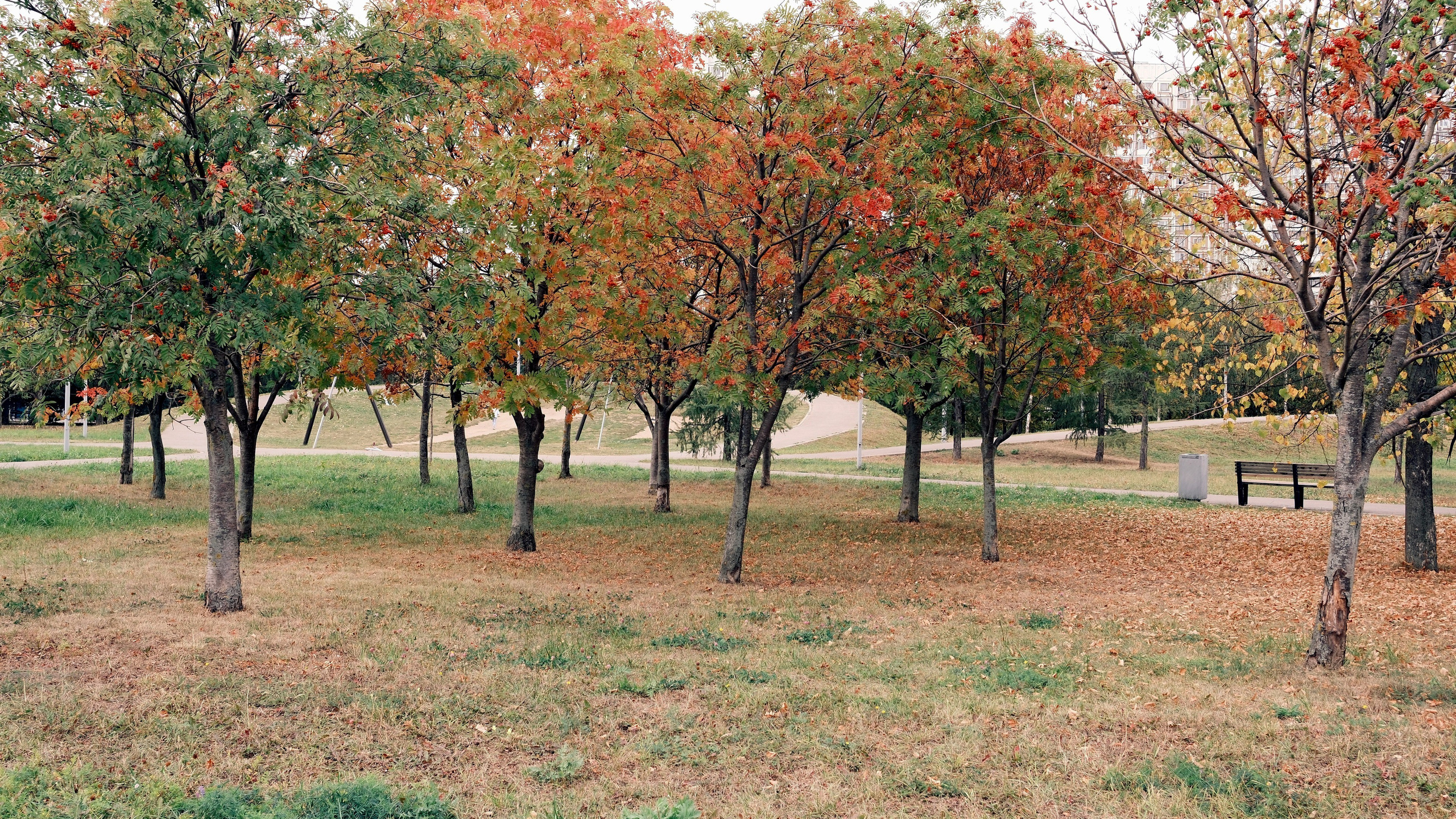 Осень 2023. Улица, люди, жизнь…