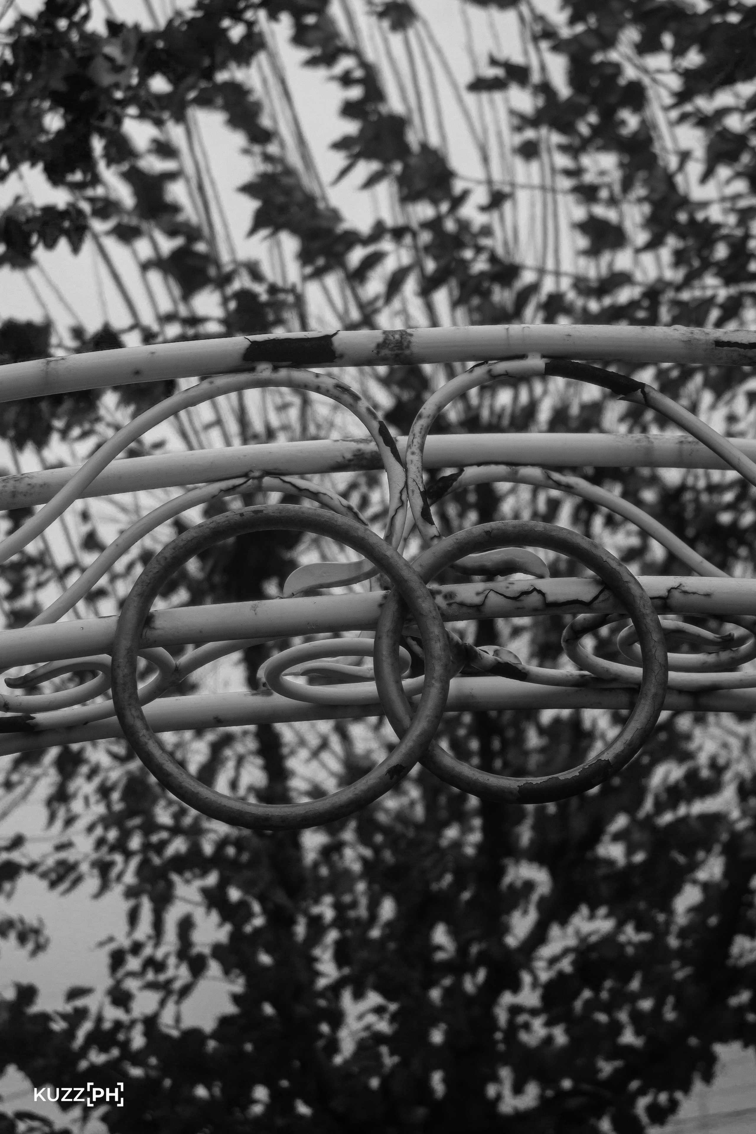 23.10.2023 | Красноярск. Kuznetsov | Фотограф в Красноярске