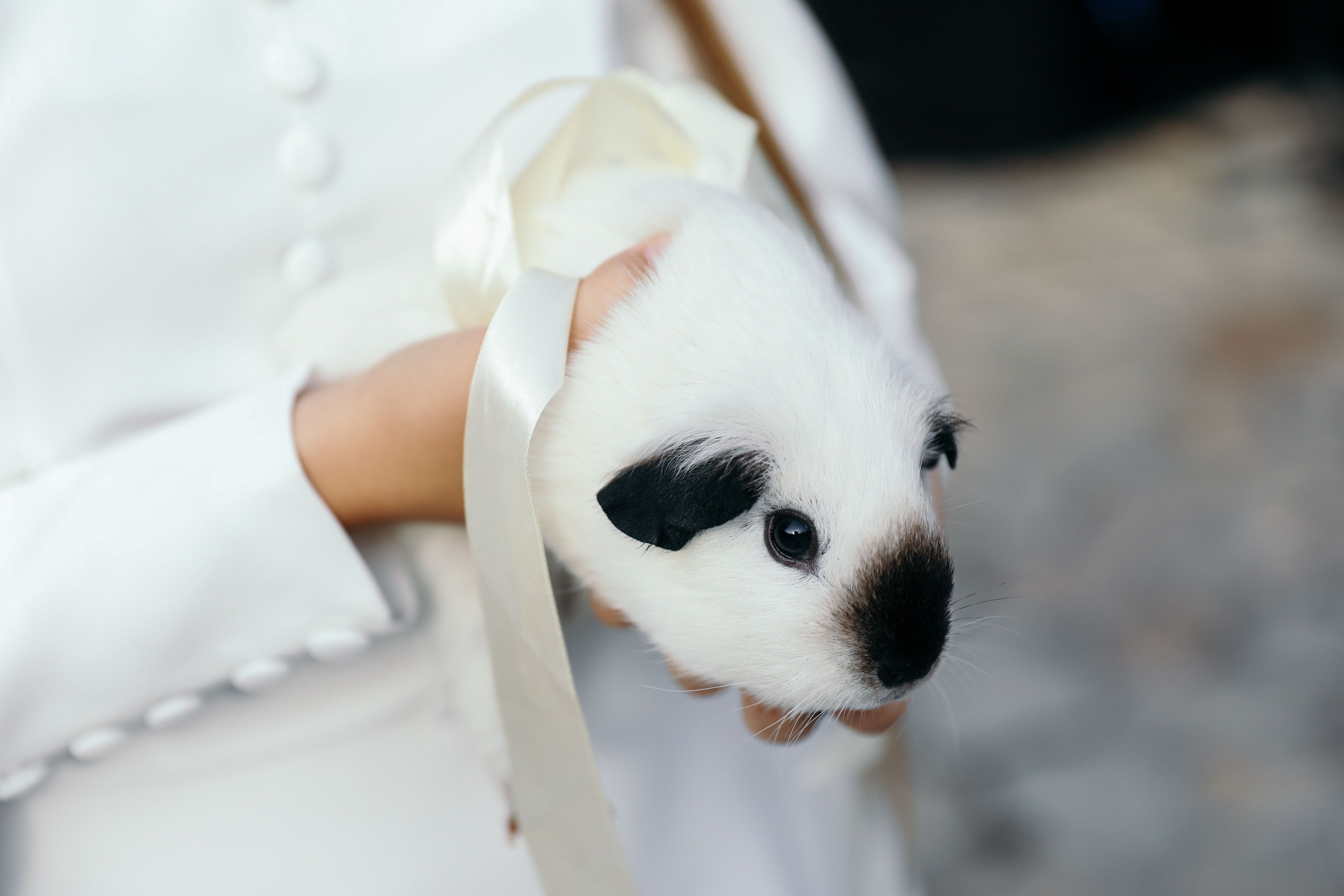 Николай и Дарья. Свадебный и семейный фотограф в Севастополе и Крыму Анастасия Сураева