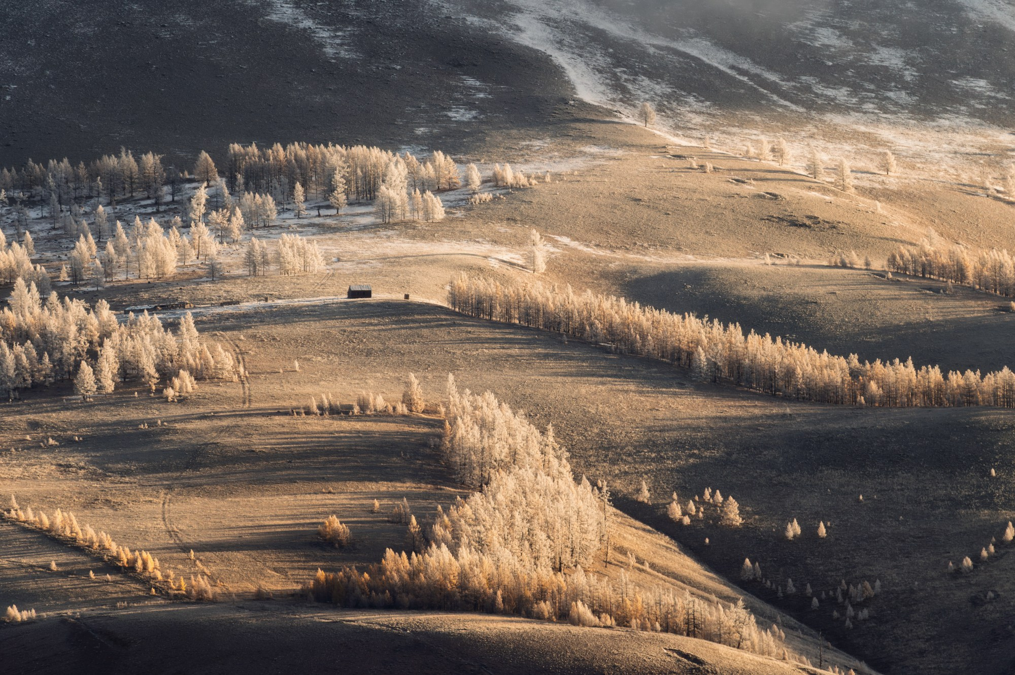 Осенний Горный Алтай. Профессиональный пейзажный фотограф Алёна Рубан