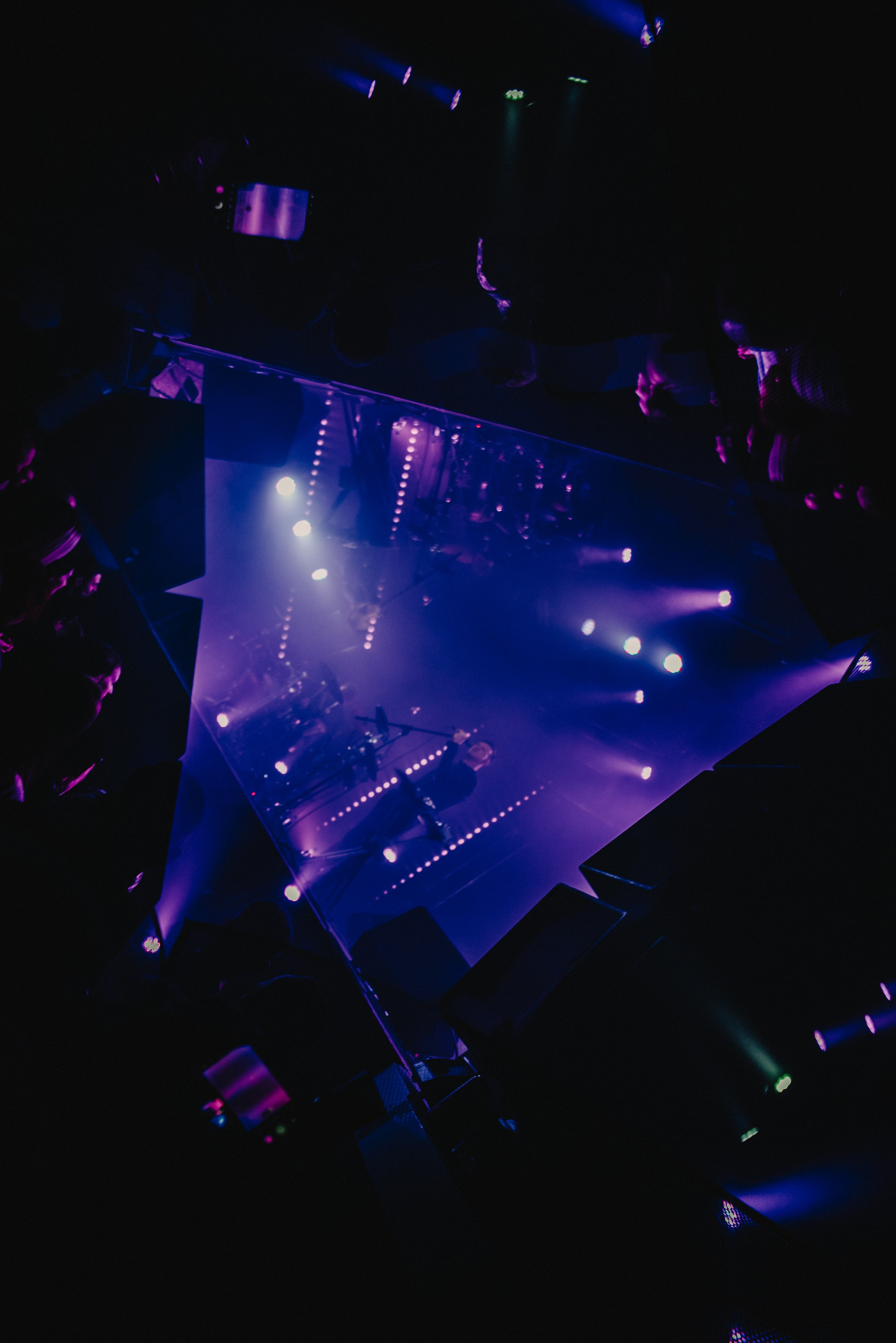 Дельфин | Gaudi. Контент фотограф Илья Урс