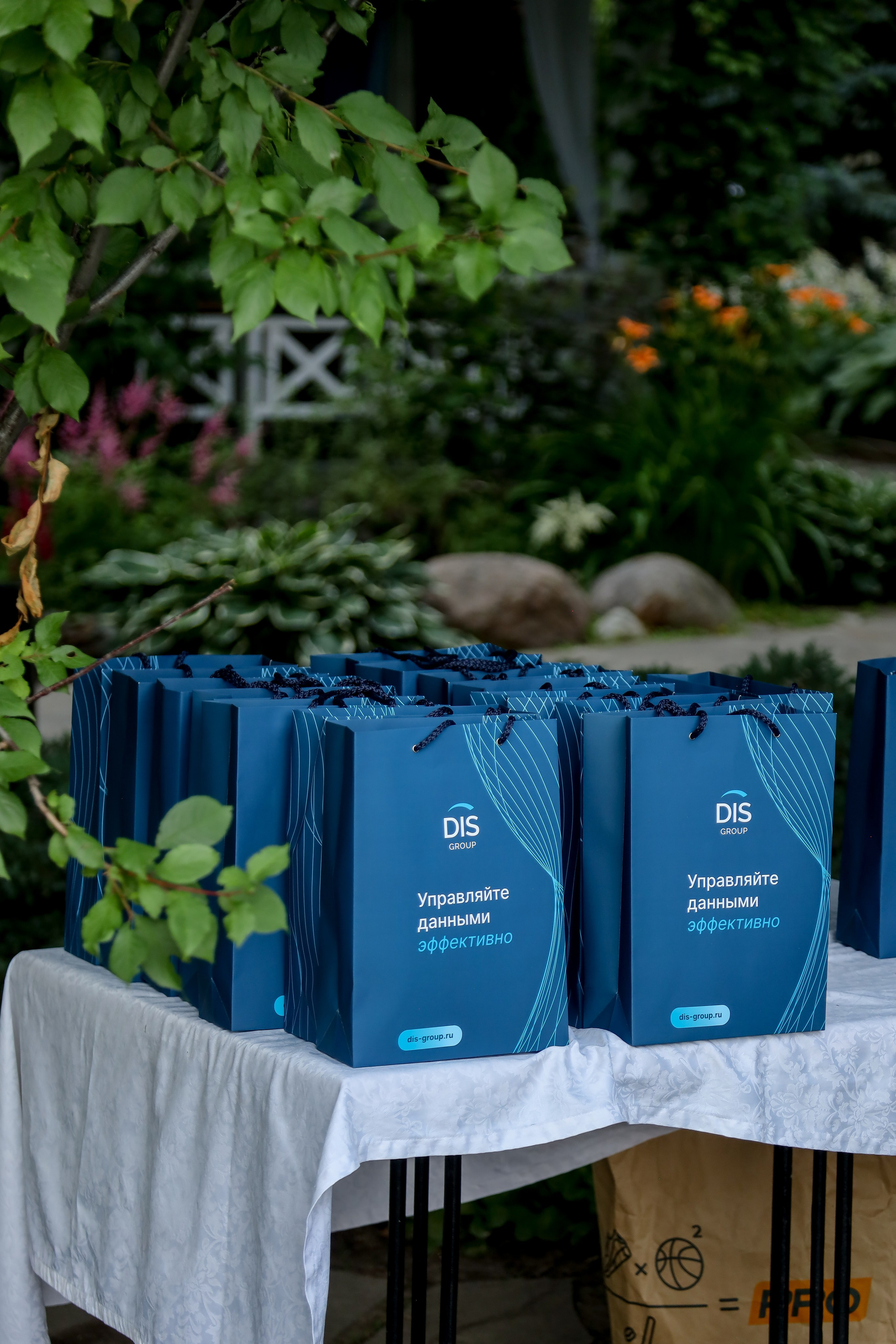 DIS регата2024. Фотограф Антон Чупринин