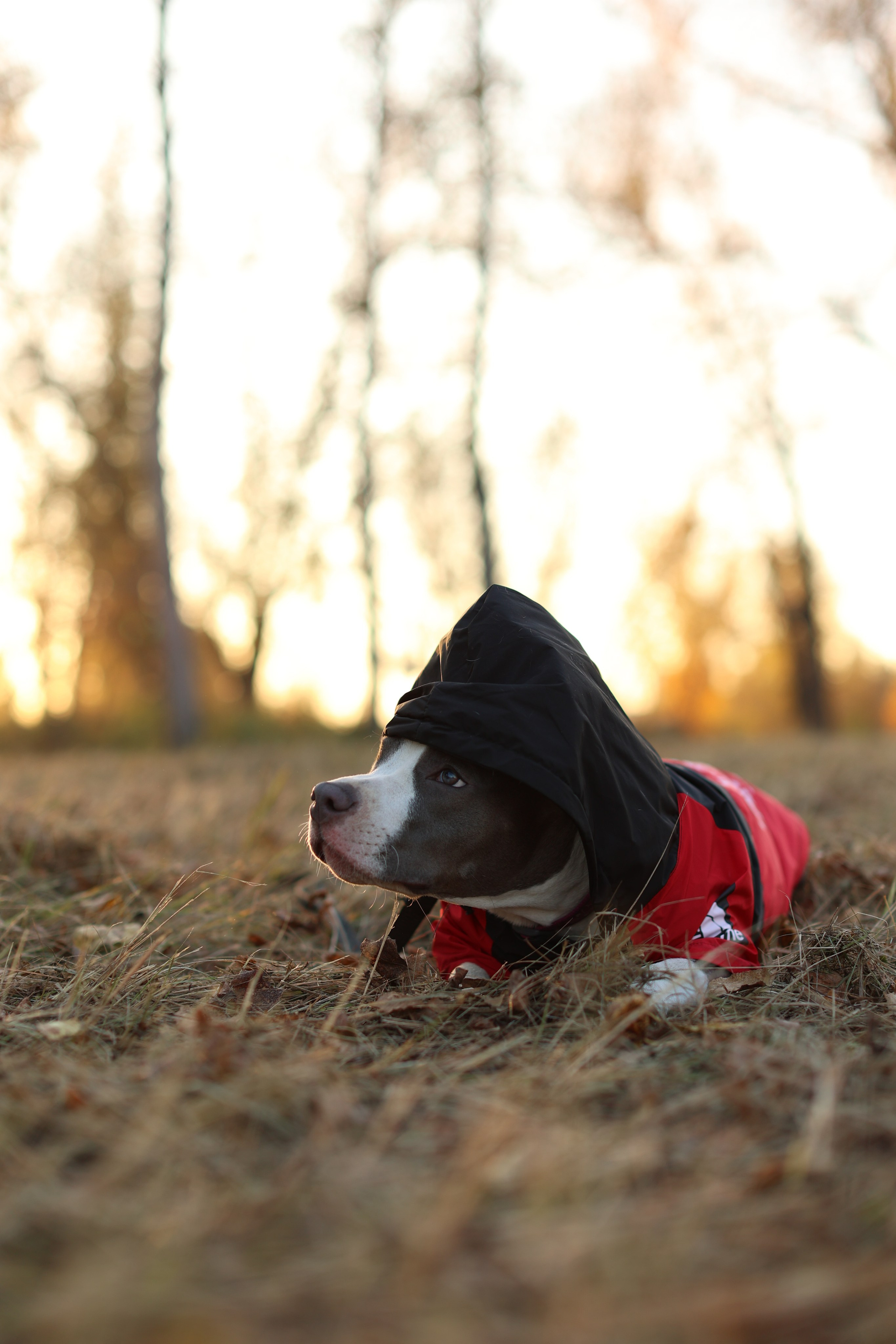 Осень. Art my Pho