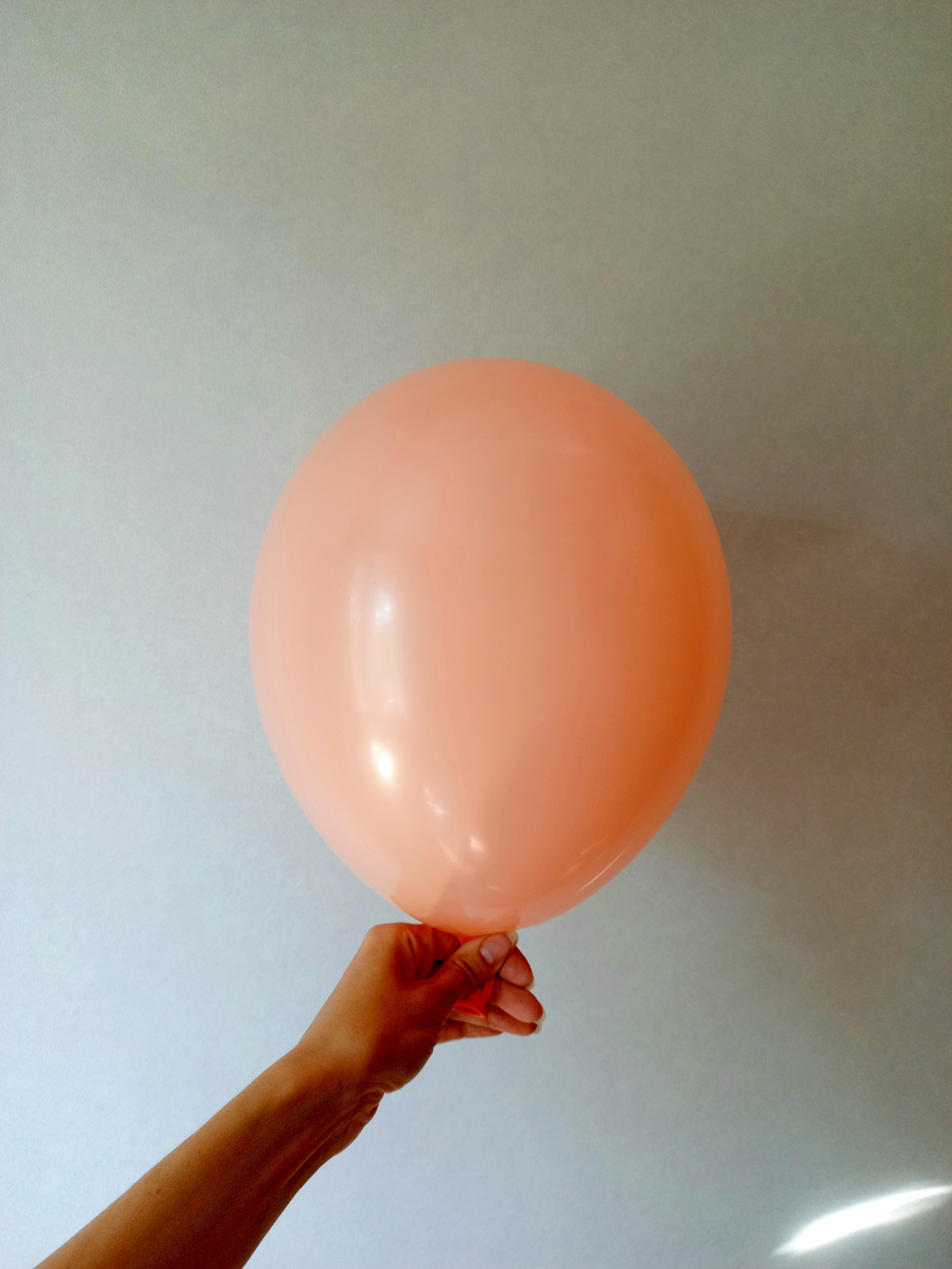 Шары без рисунка латексные. Аэродизайнер Елена Лин