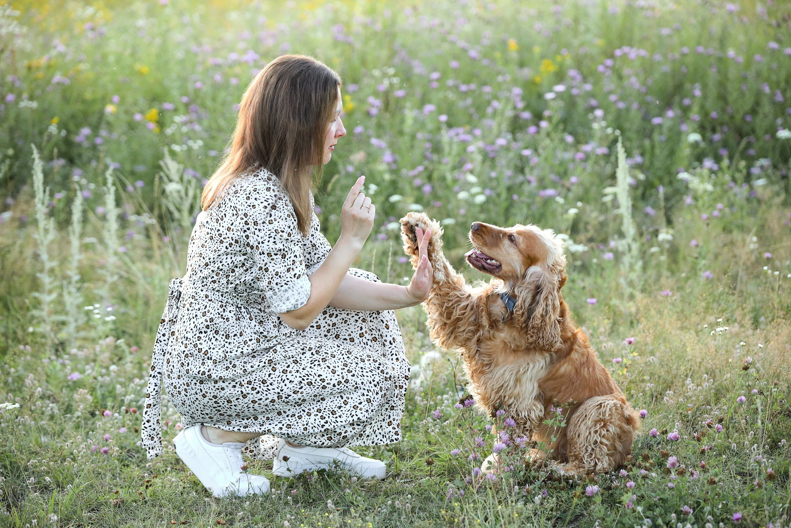Четвероногие друзья. Репортажный, семейный, школьный фотограф в Иванове Инна Крылова