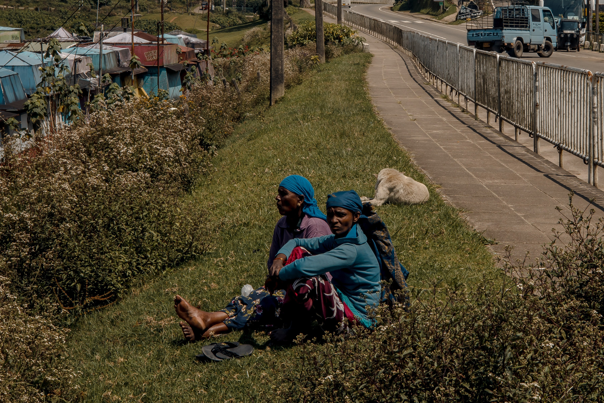 Sri Lanka, Nuwara Elia 2026. Art Photographer
