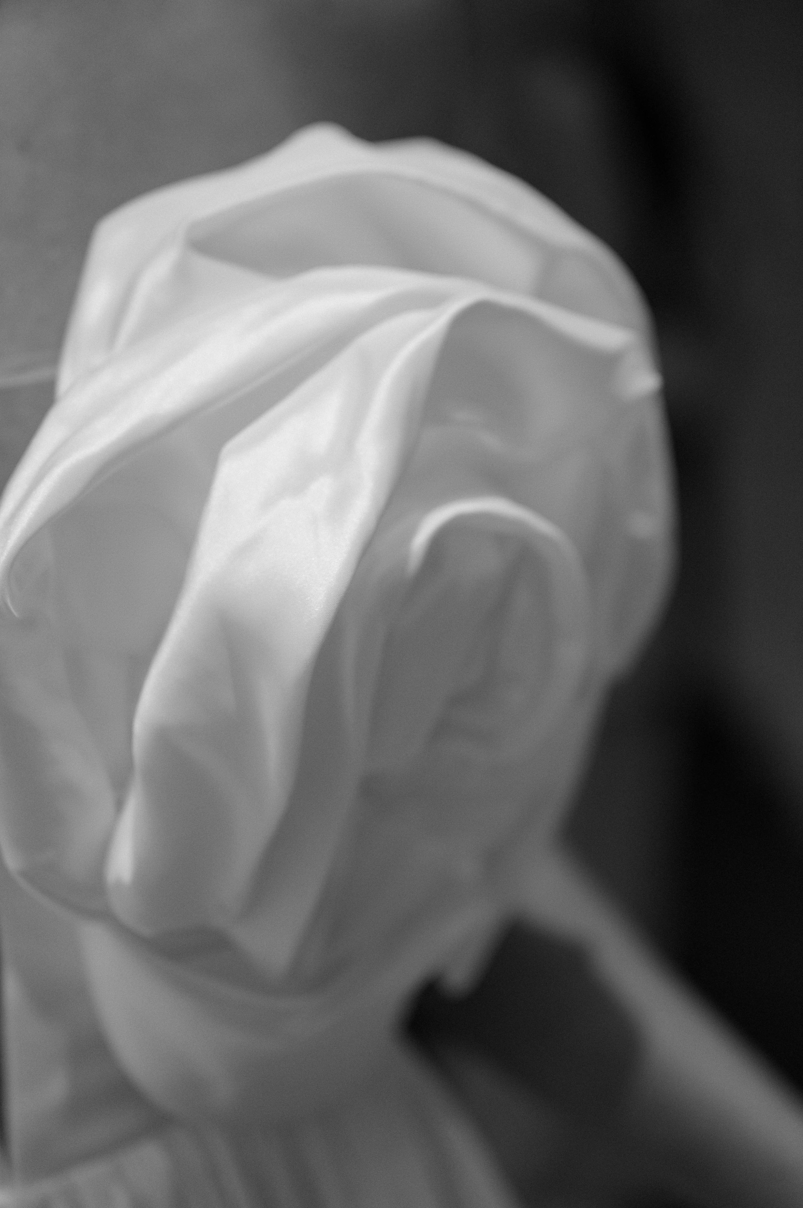 Дмитрий и Марина. Свадебный фотограф в Красноярске Маргарита Синицкая