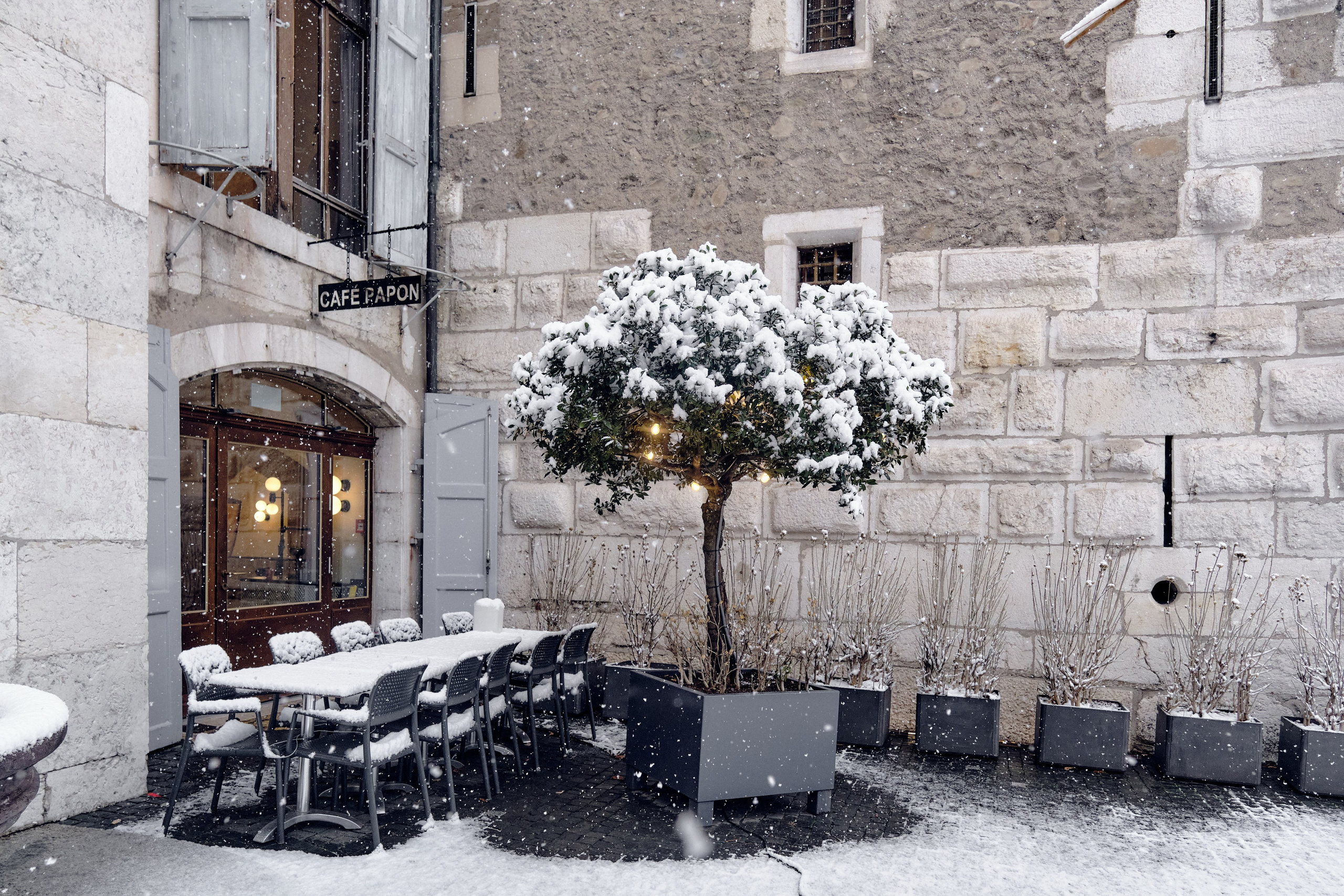 Geneva / winter 2024. Aleksandr Kobtsev