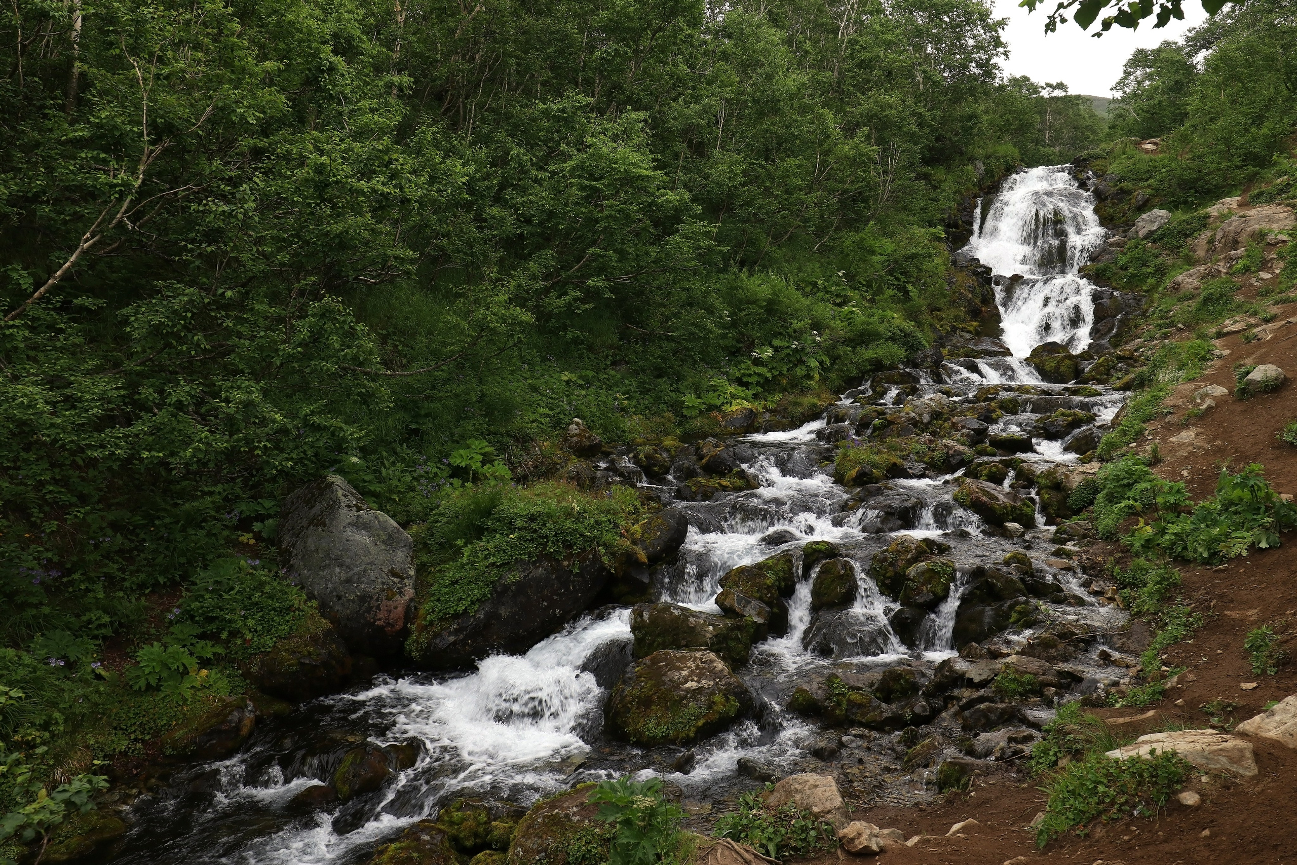 Камчатка и о. Парамушир. Июль 2024. Путешественник-фотограф из Санкт-Петербурга Татьяна Свистулина