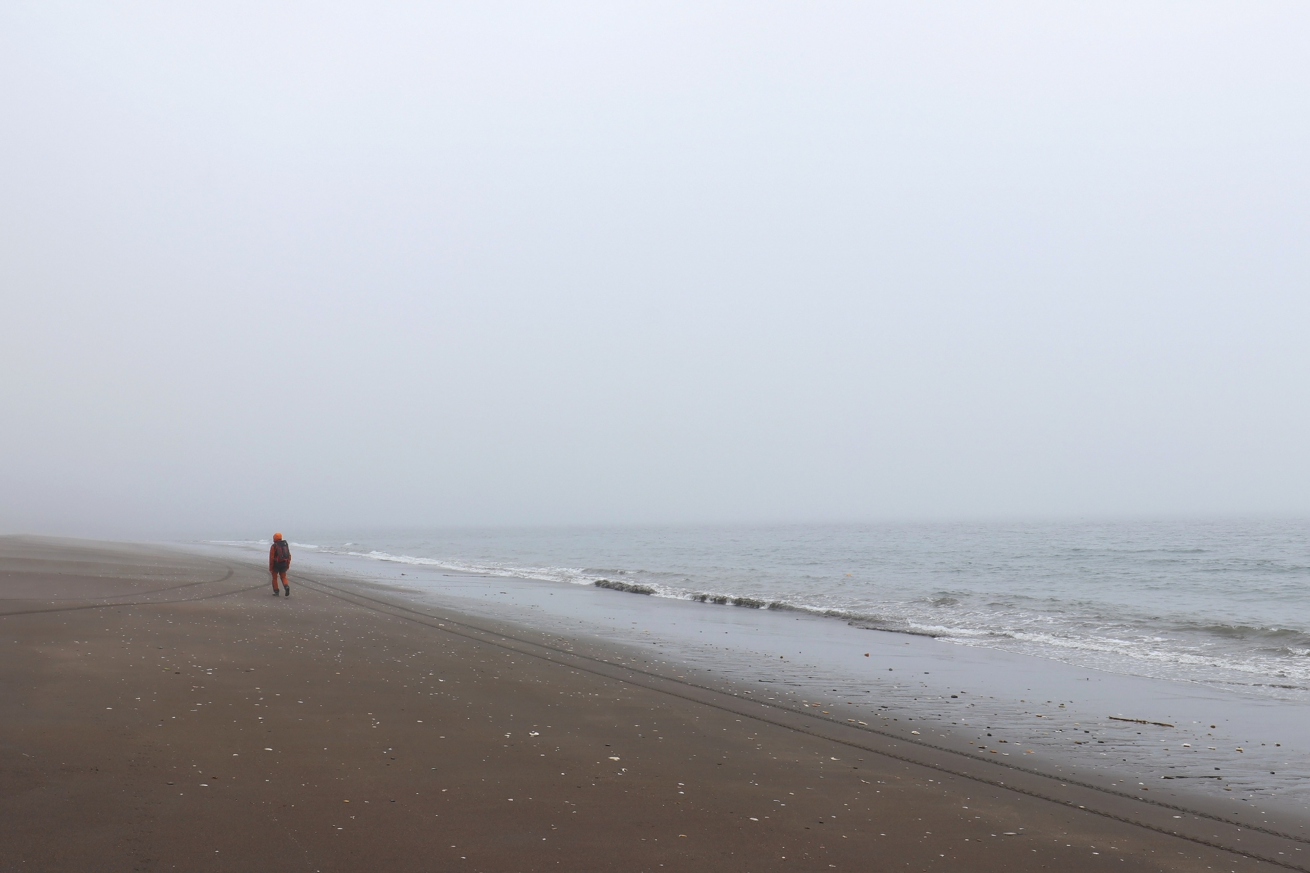 Камчатка и о. Парамушир. Июль 2024. Путешественник-фотограф из Санкт-Петербурга Татьяна Свистулина