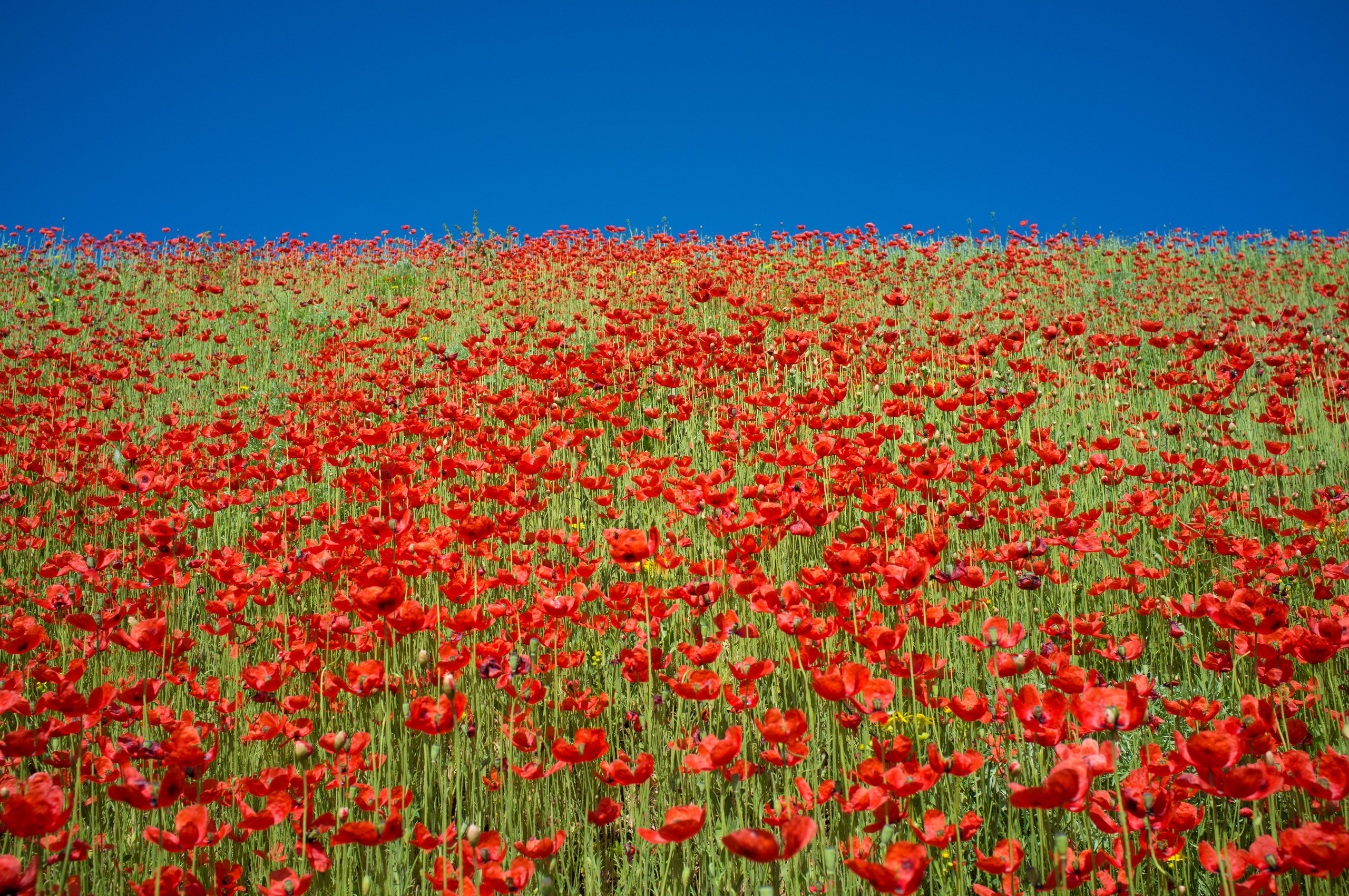 Фотопортреты с пониманием и осознанием образа. Сергей Гаврилов, фотограф