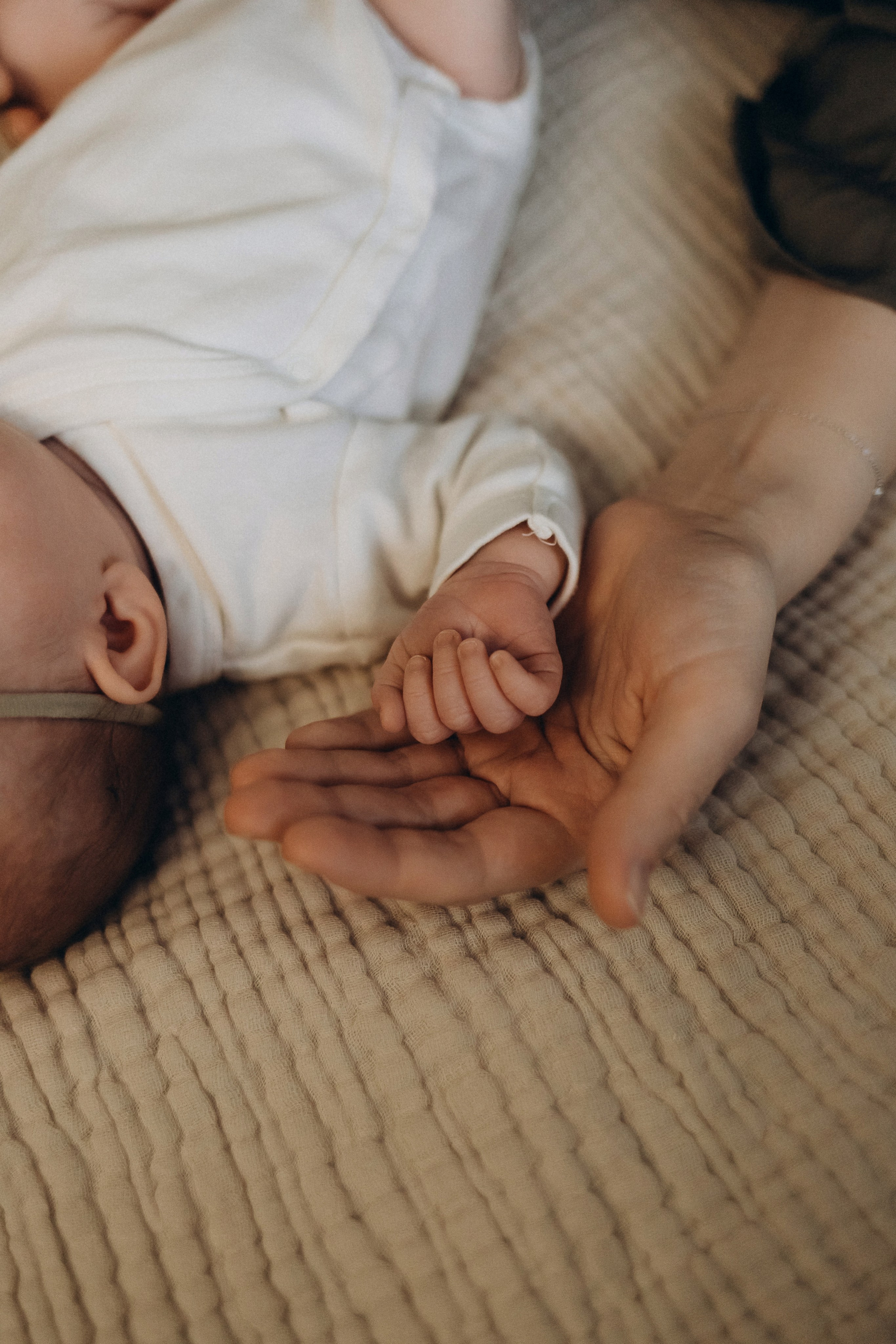 Анастасия/Андрей/Арина/2025. Свадебный и семейный фотограф в Екатеринбурге