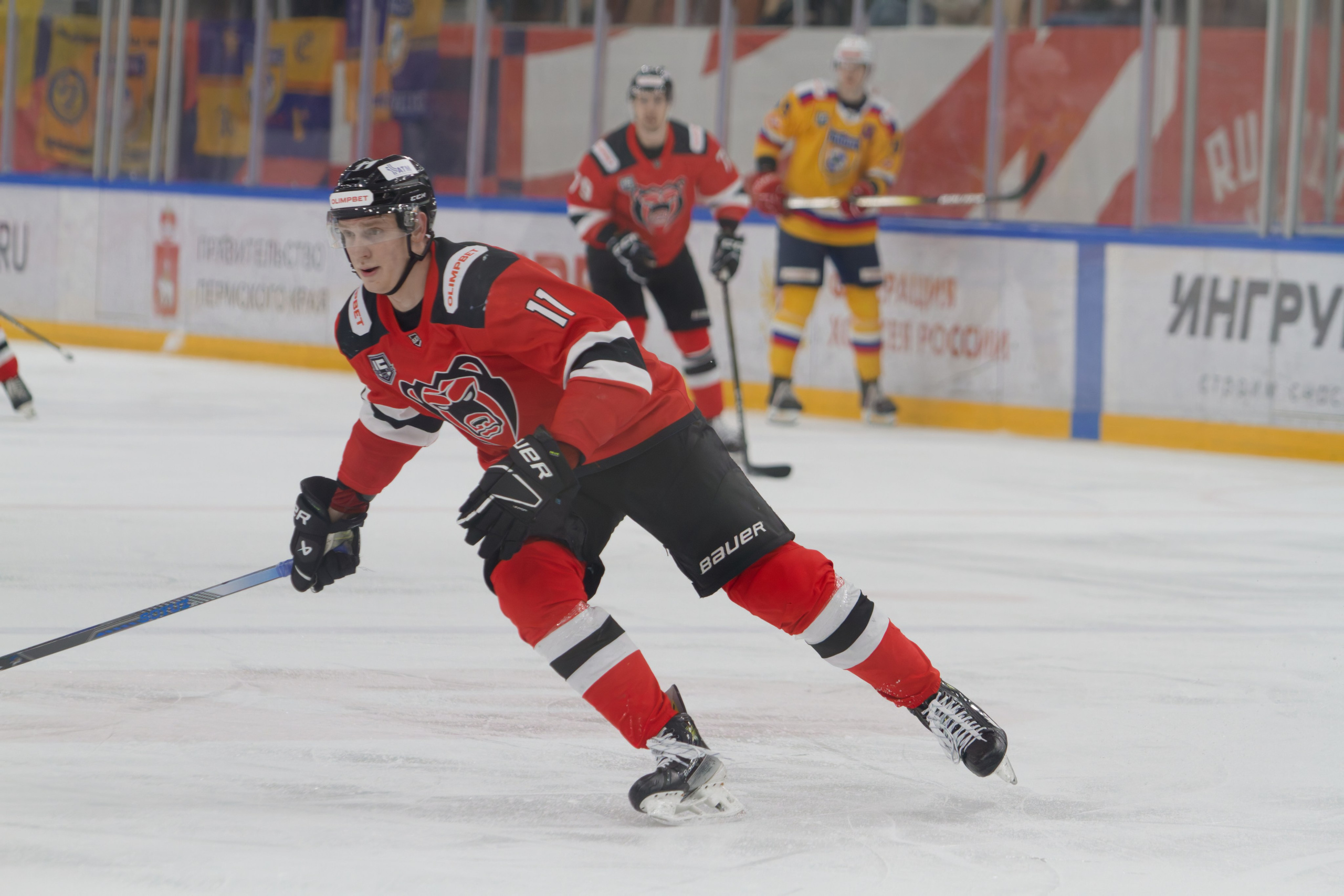 Хоккей. Молот-Химик 12.02.2025. Репортажный и спортивный фотограф в г. Пермь Зильберг Павел
